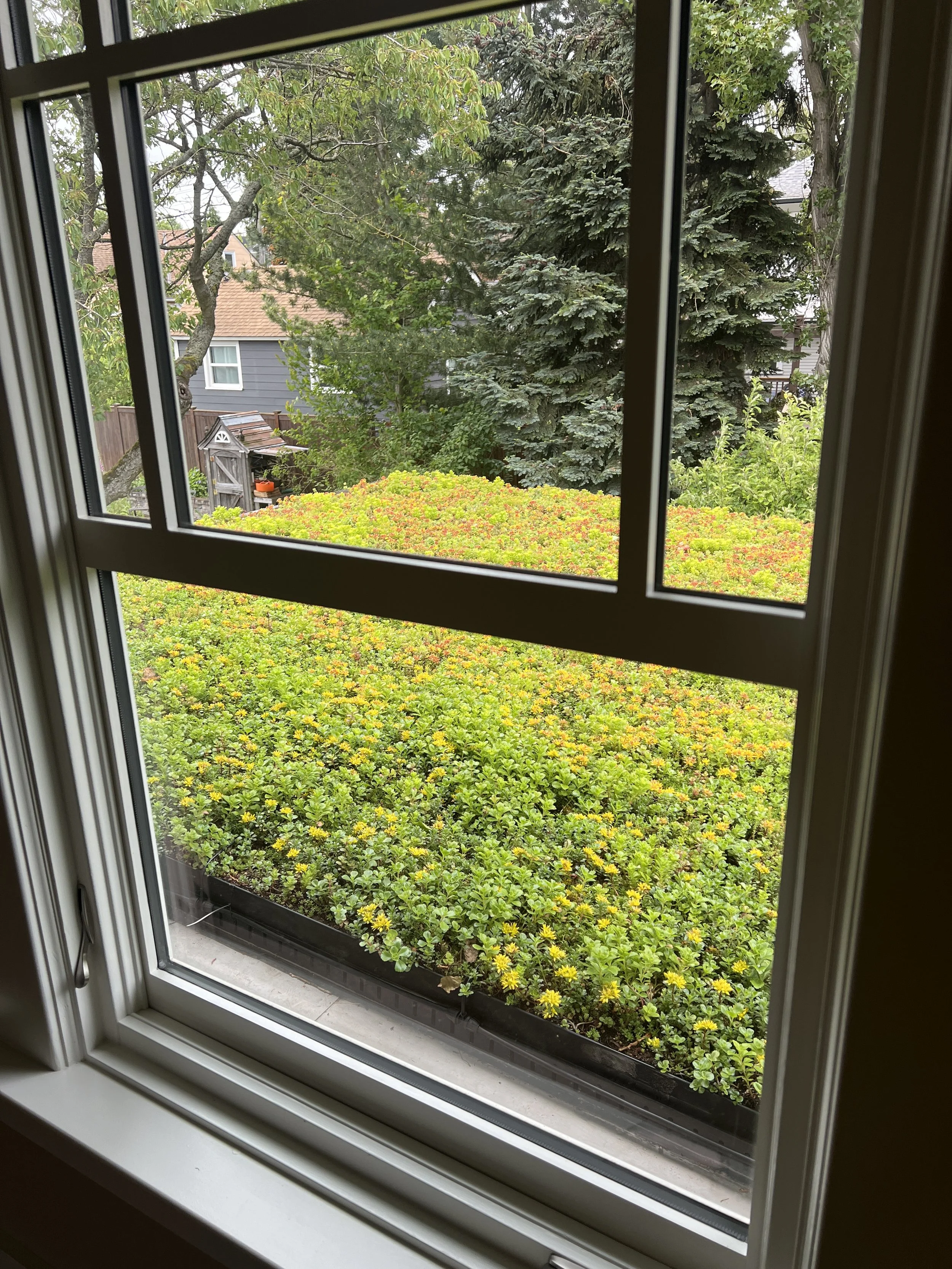 3 Ballard Conservatory Roof.JPG