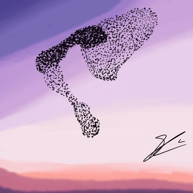 Summertime Dusk Flight, Procreate, 2024