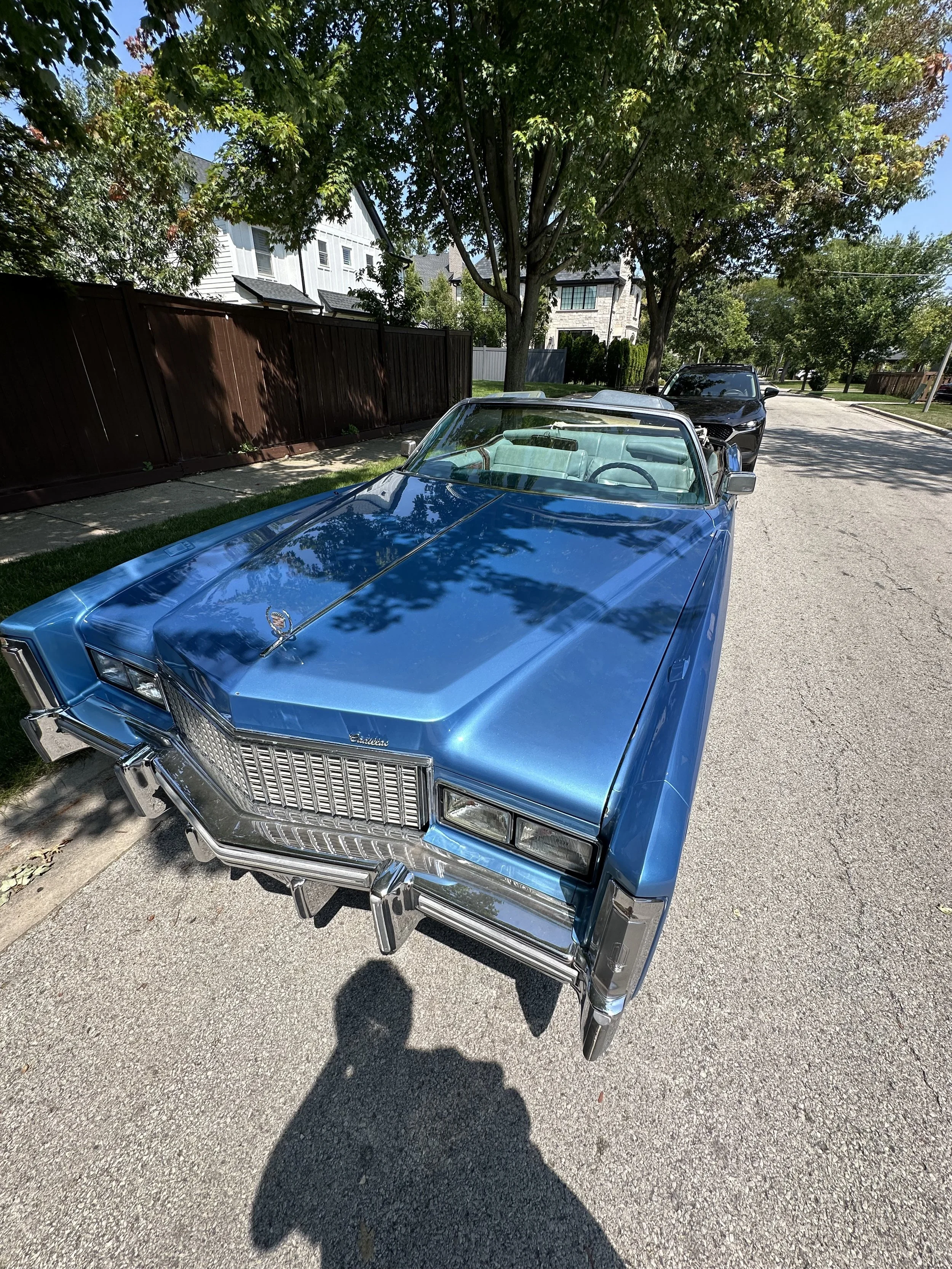 A vintage blue Cadillac convertible car parked on the street under a tree