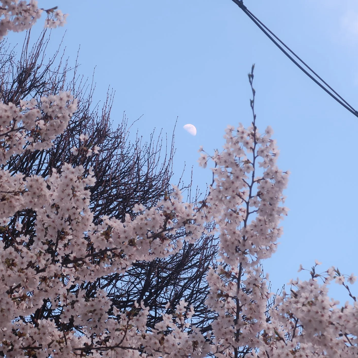 IMG_6029.png