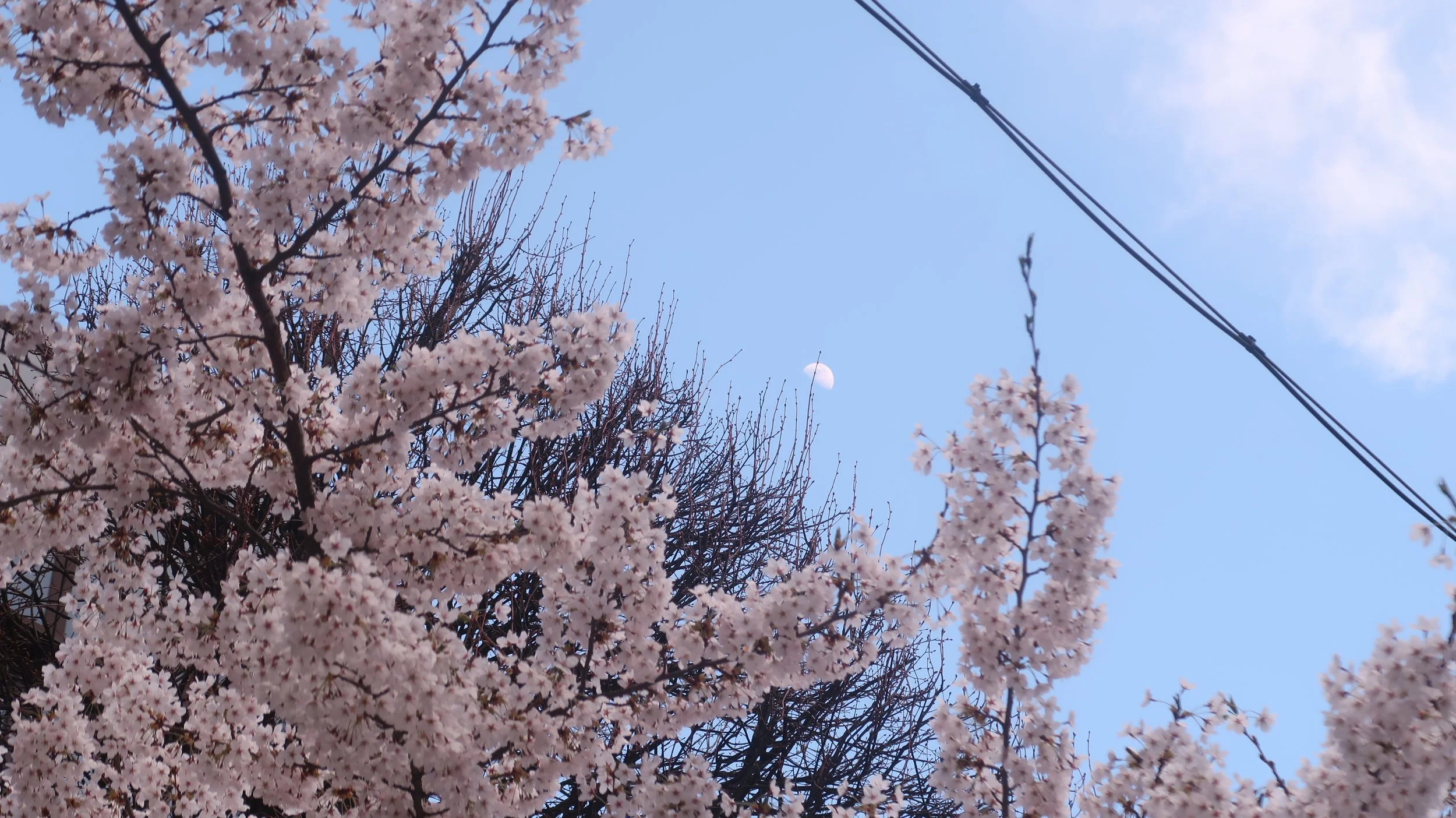 some heart fluttering moments, new beginnings