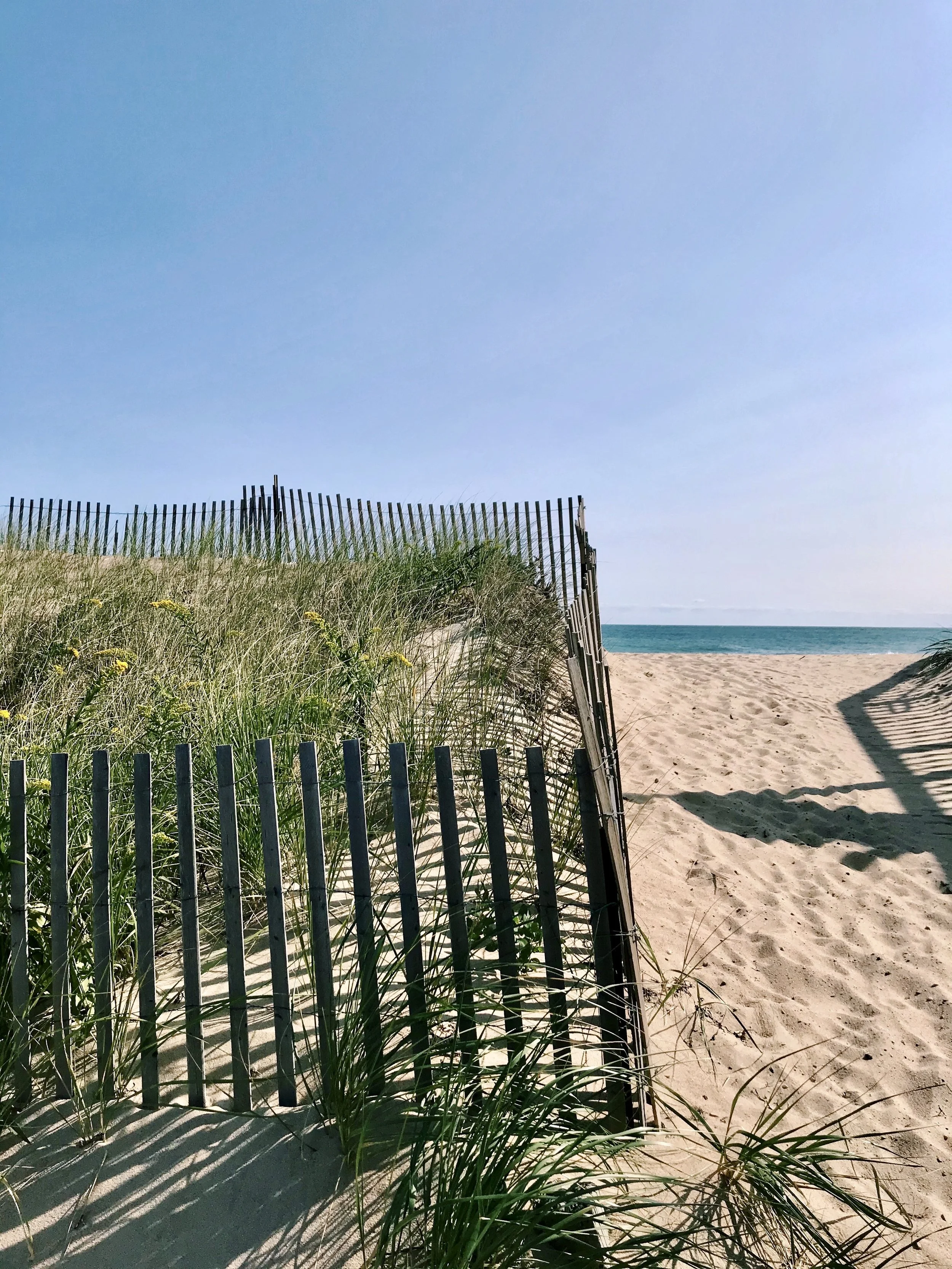 Rhode Island Dunes