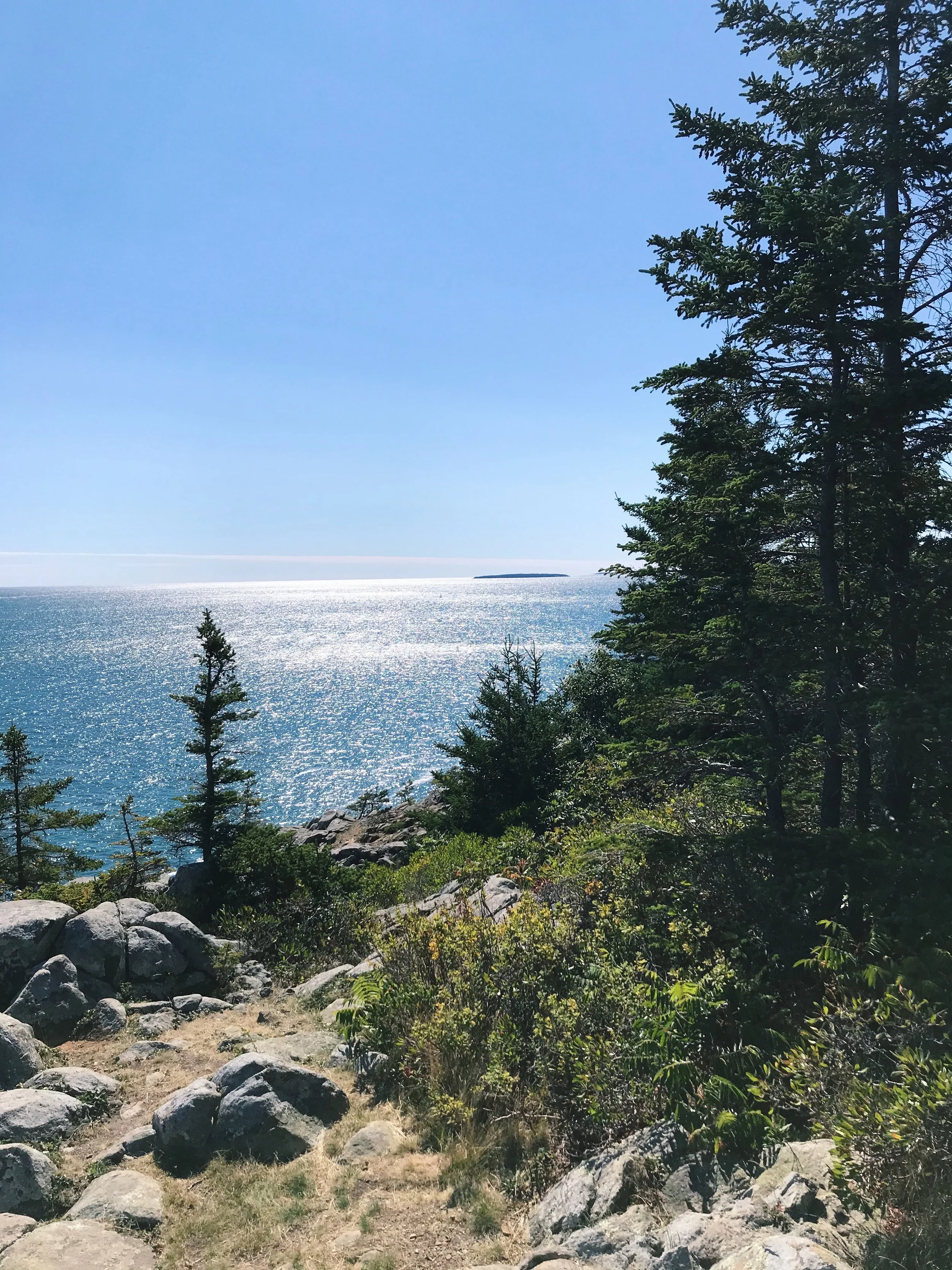 Acadia Terrain, Maine