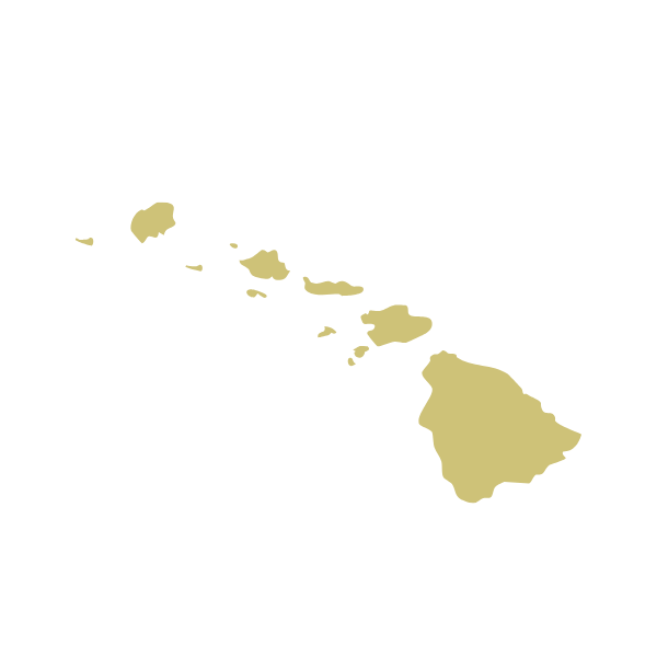 Outline map of the Hawaiian Islands in beige against a black background.