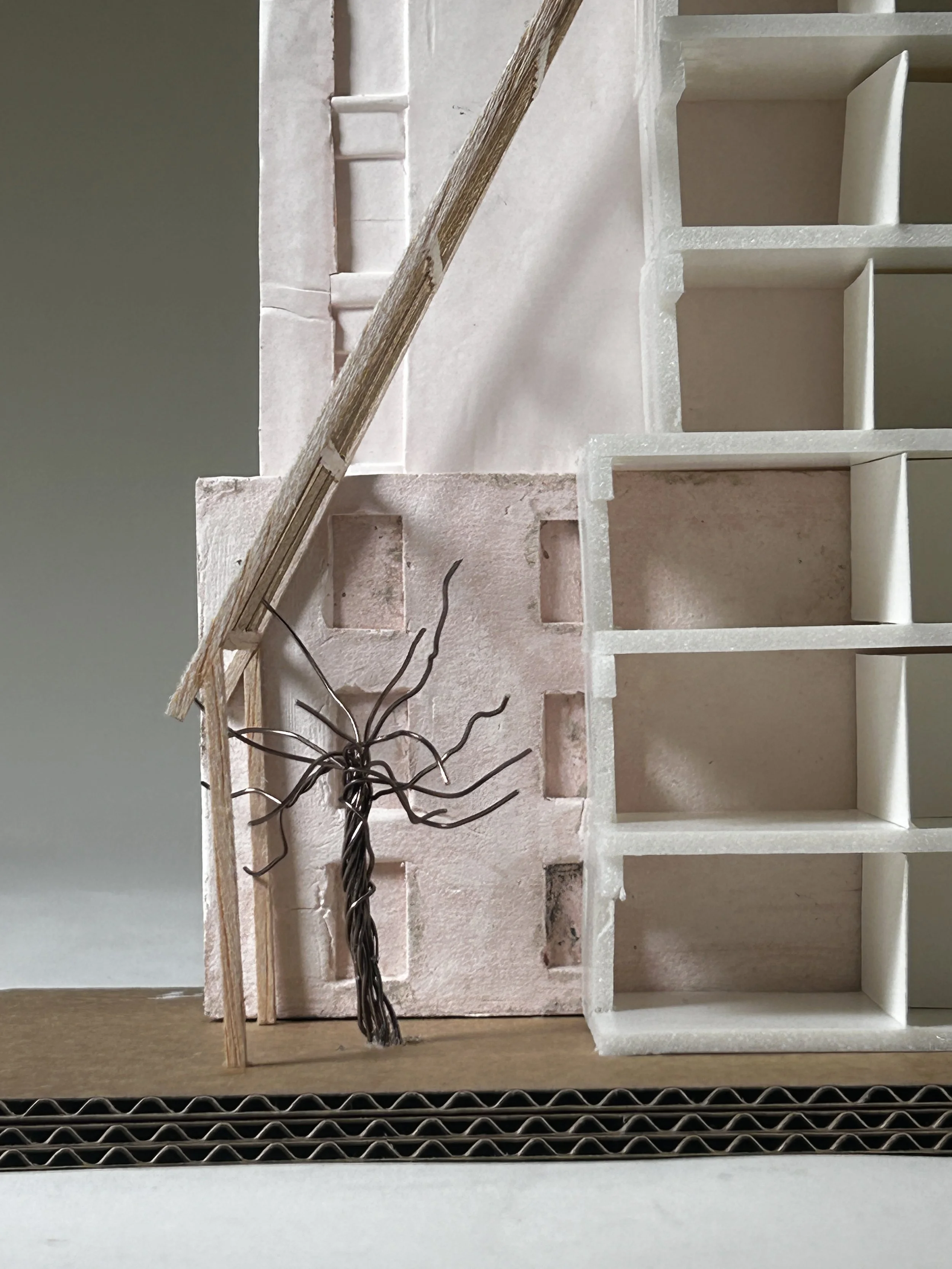 1:50 proposed model