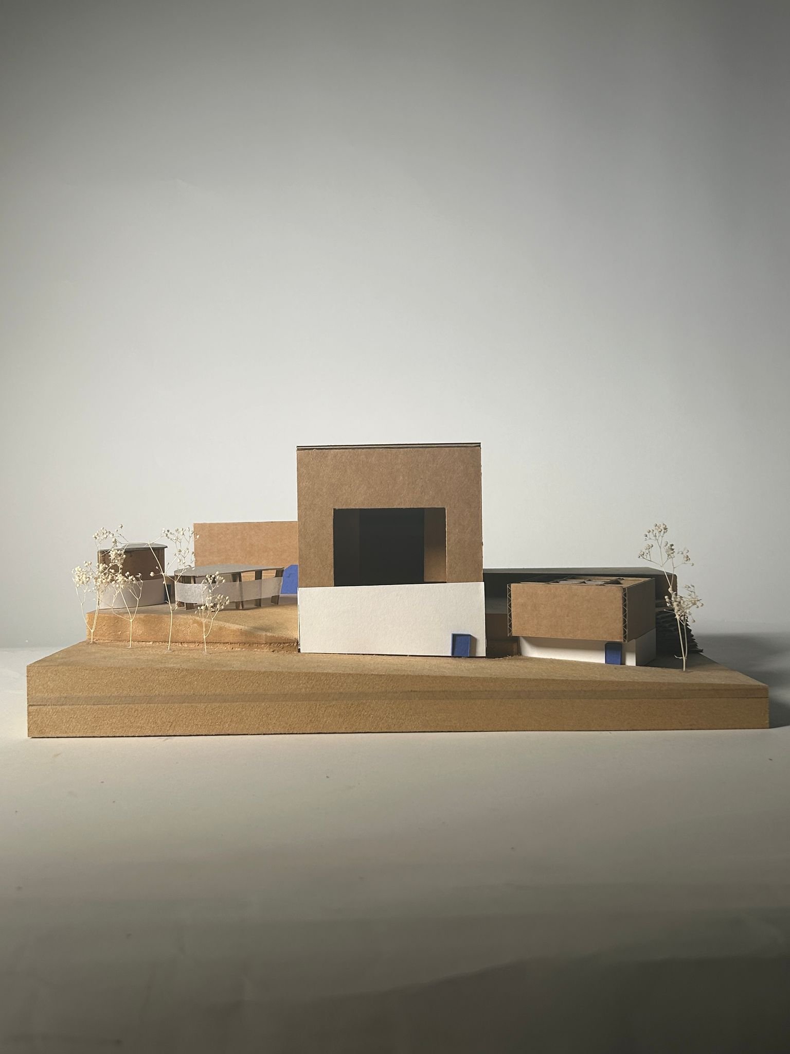 proposed 1:50 model