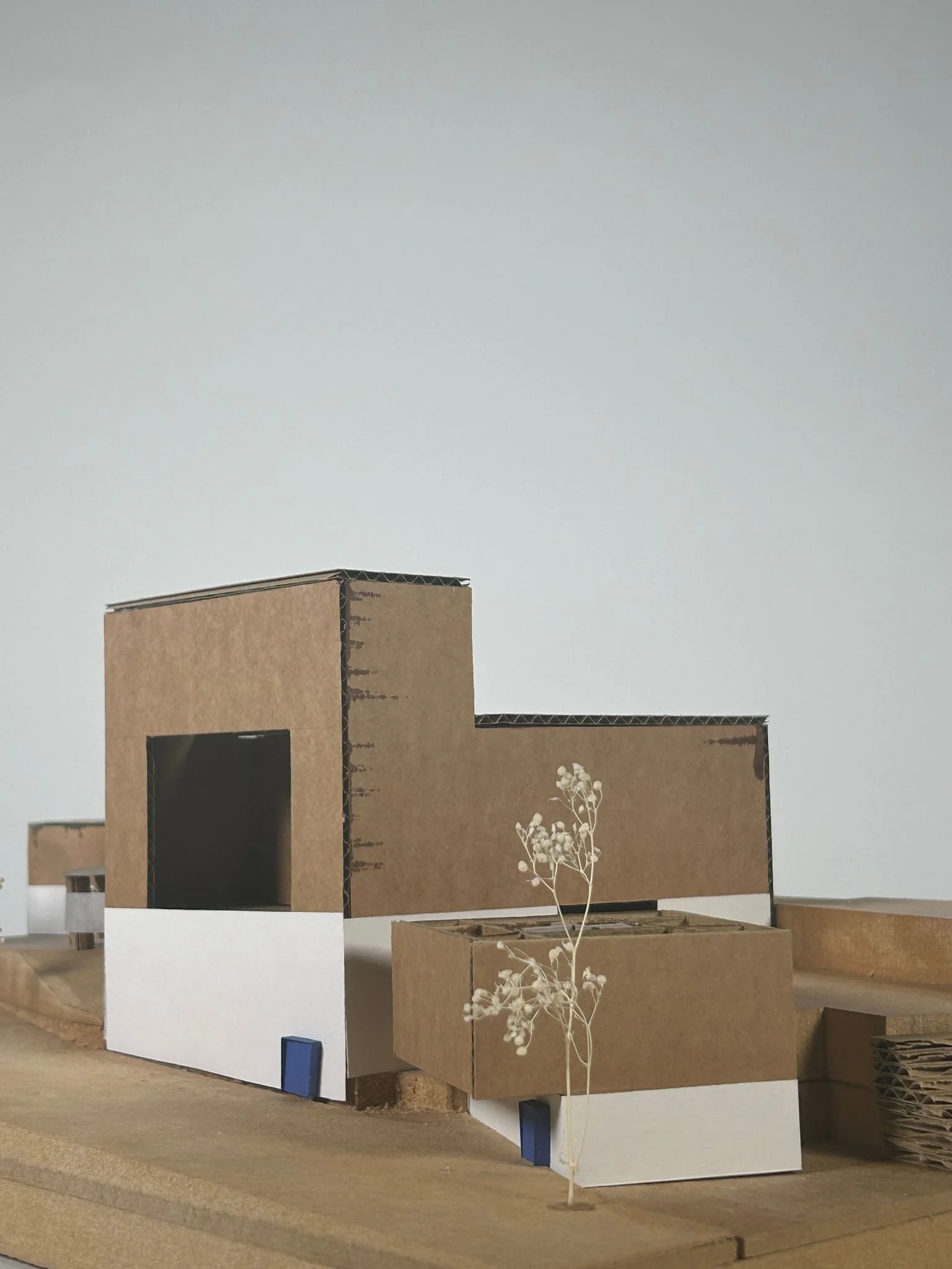 proposed 1:50 model
