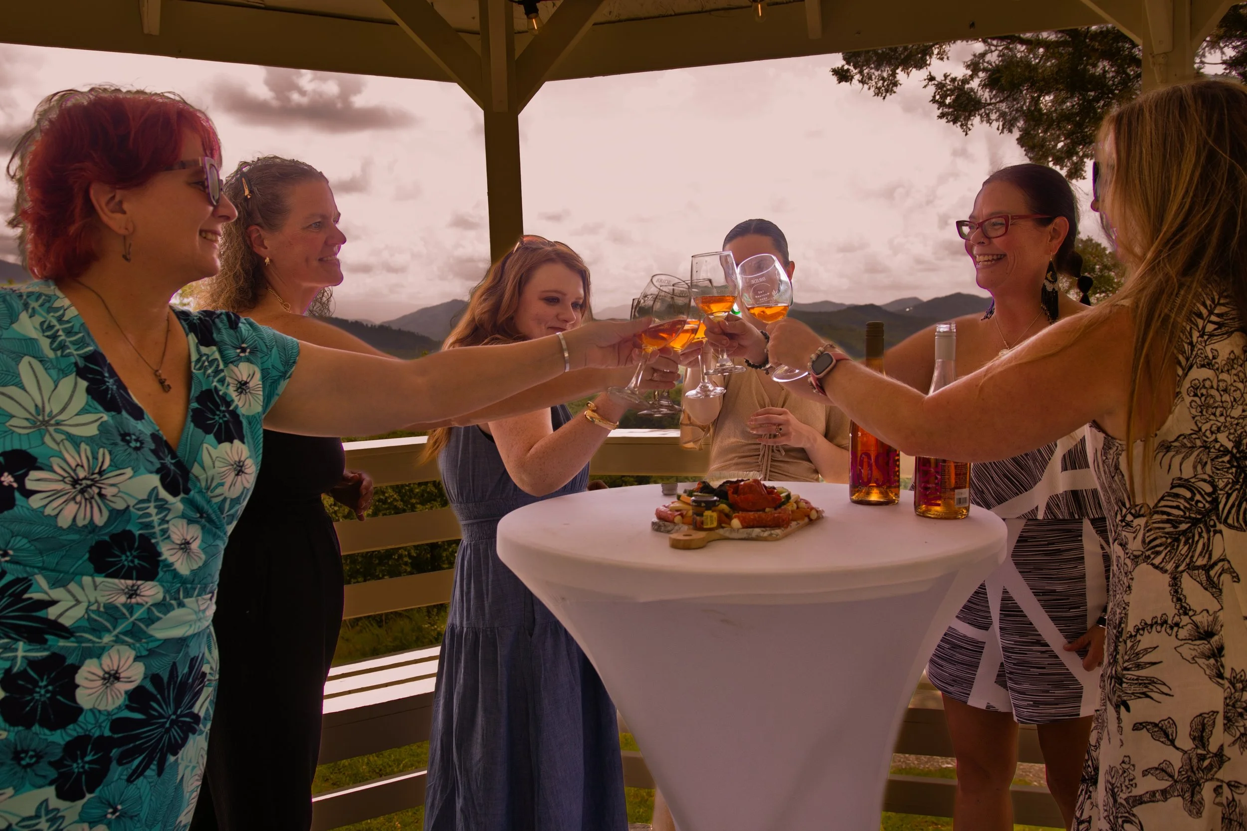 bridal shower toast in the smoky mountains at the mustard seed venue in pigeon forge