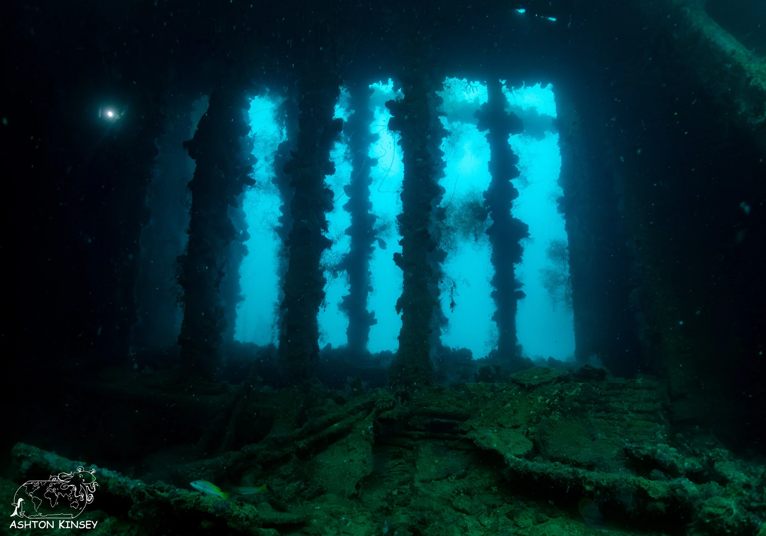 Yamagiri Maru-20.jpg