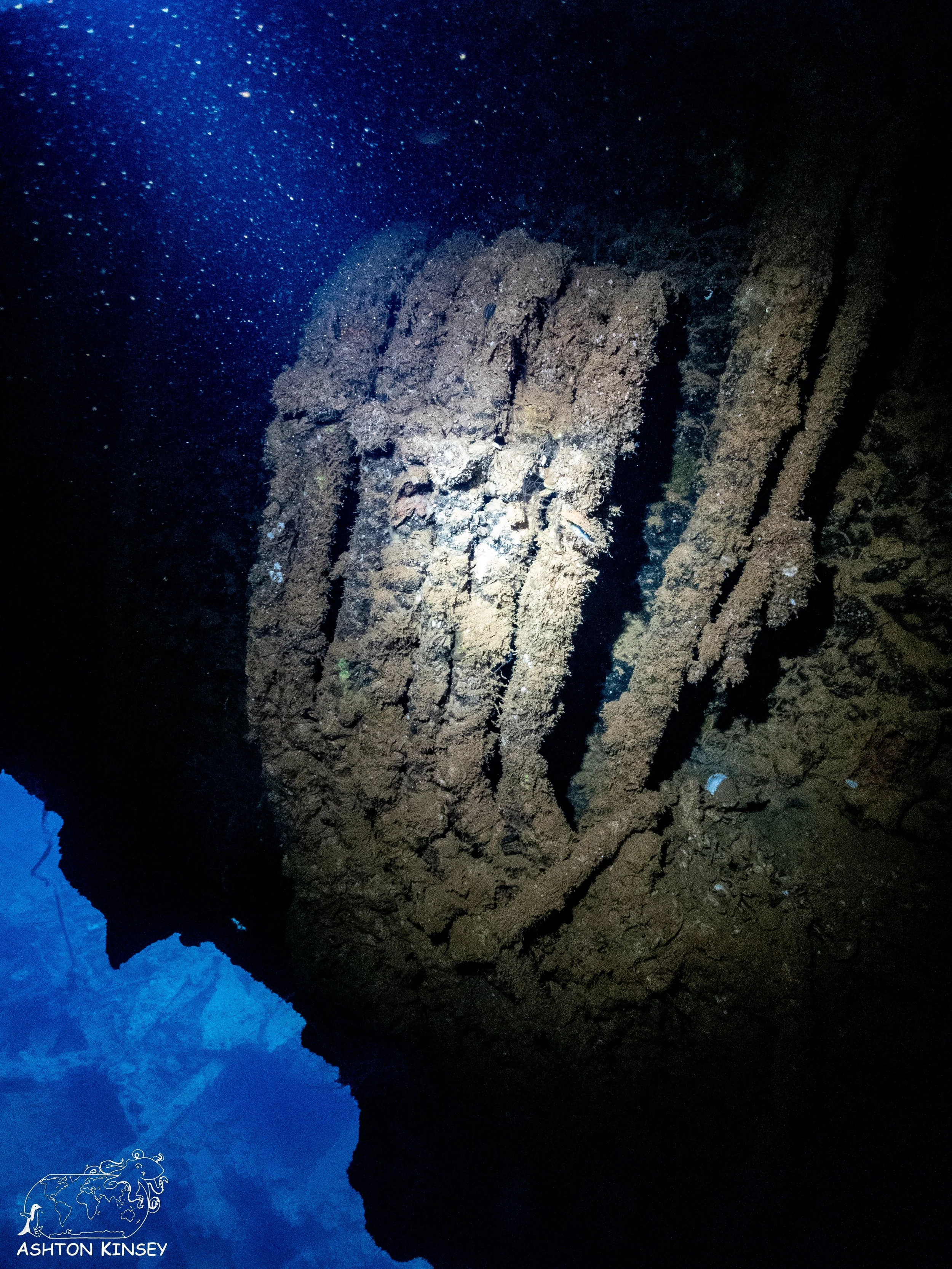 Yamagiri Maru-23.jpg