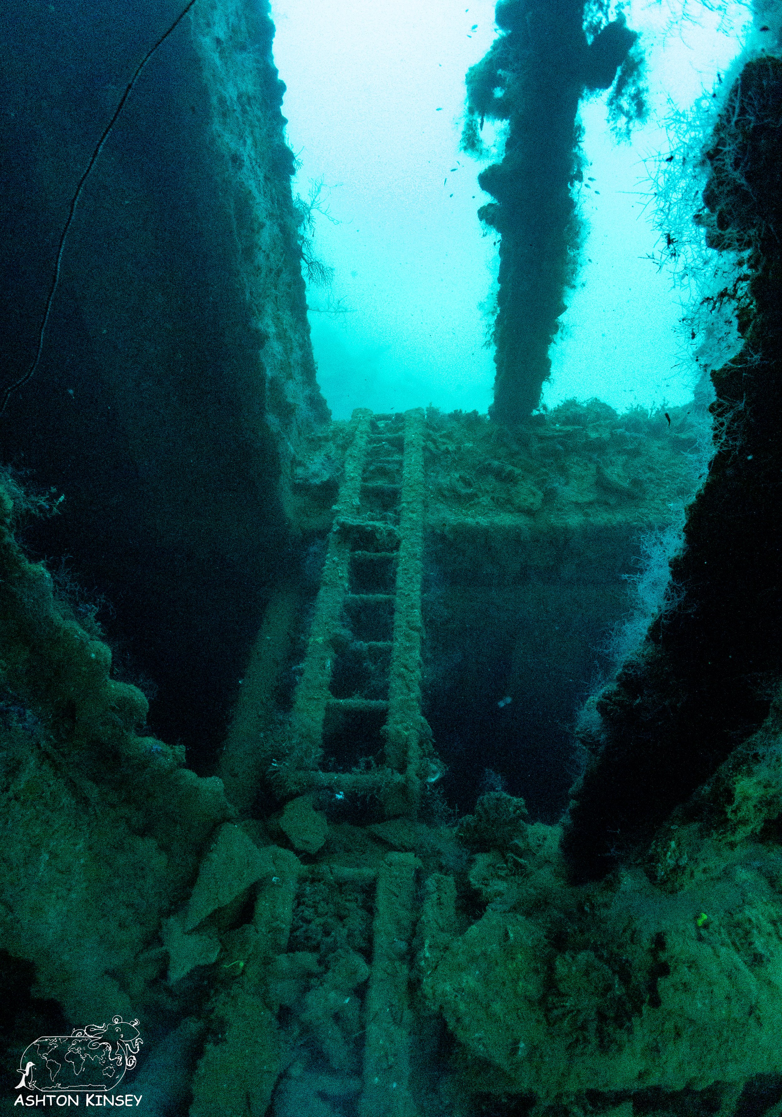 Yamagiri Maru-21.jpg