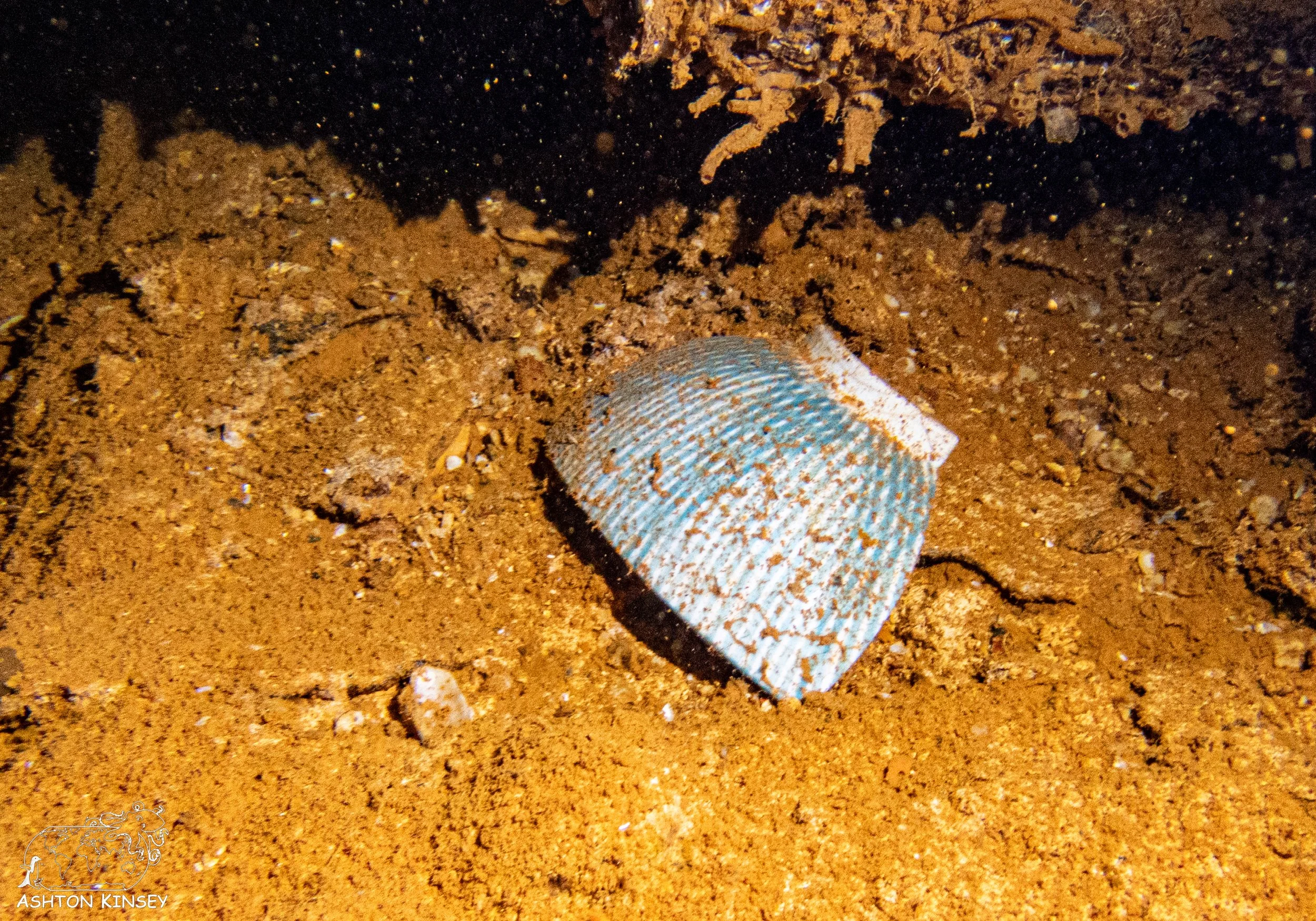 Yamagiri Maru-33.jpg