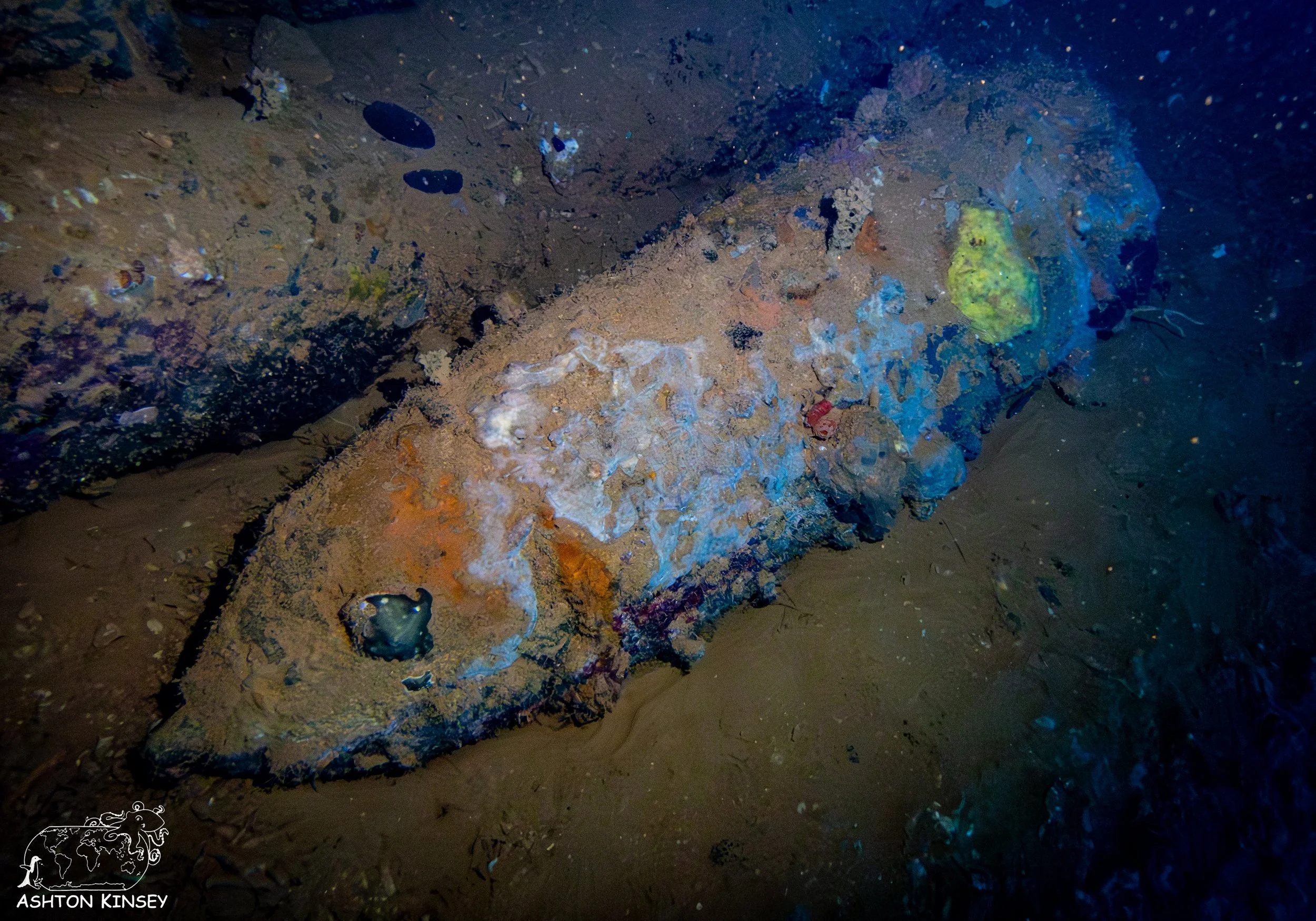 Yamagiri Maru-34.jpg