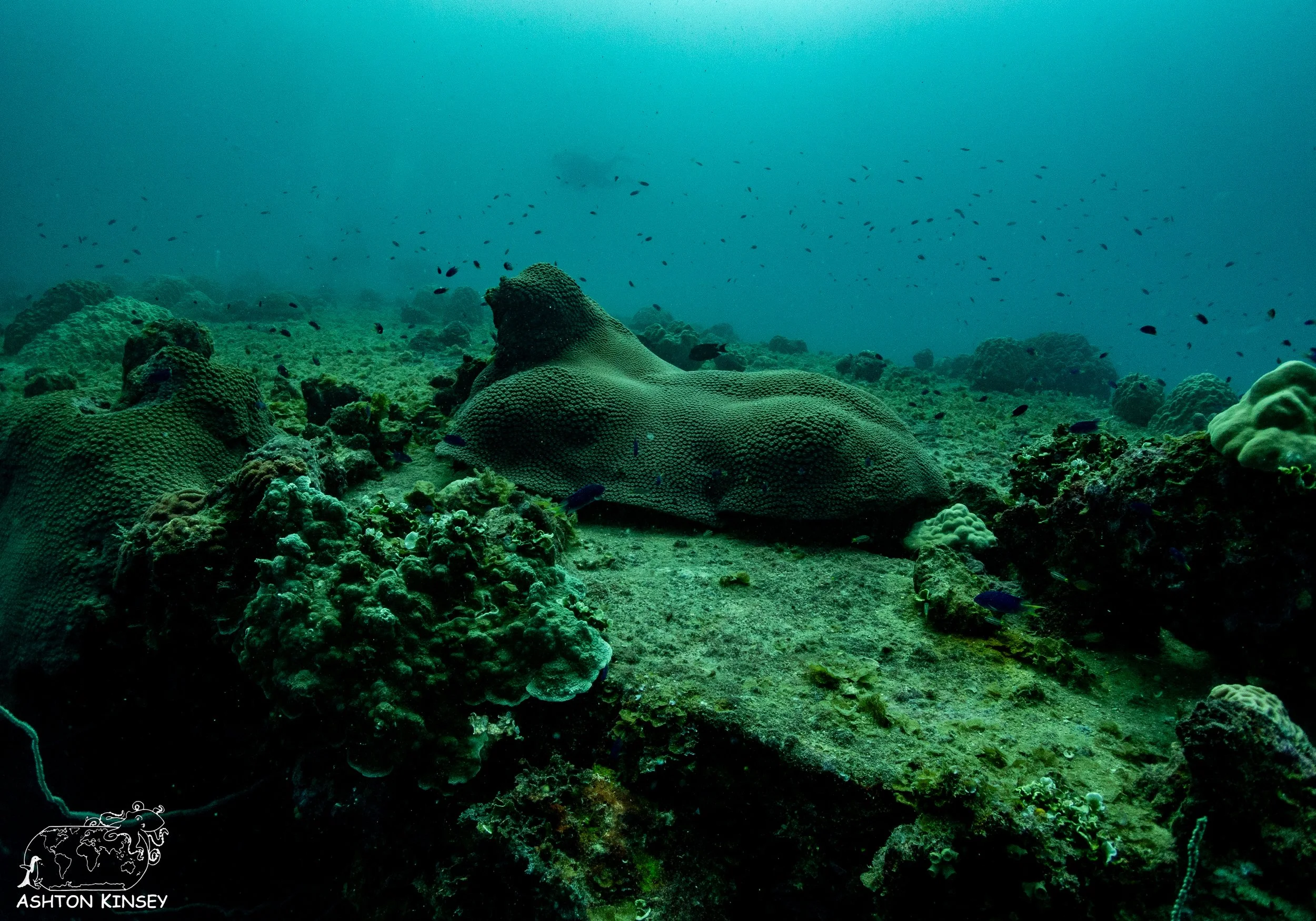 Yamagiri Maru-11.jpg