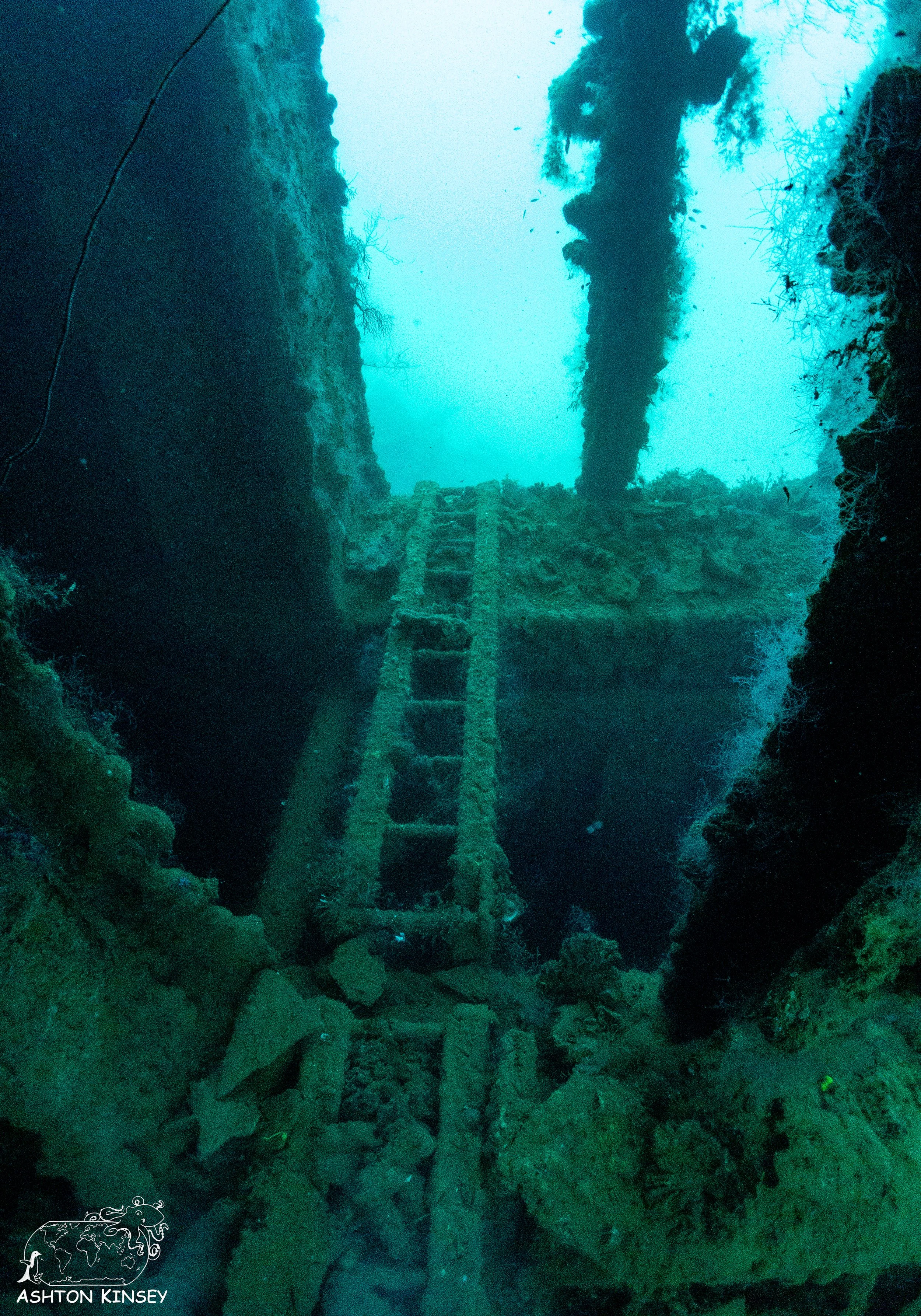 Yamagiri Maru-21.jpg