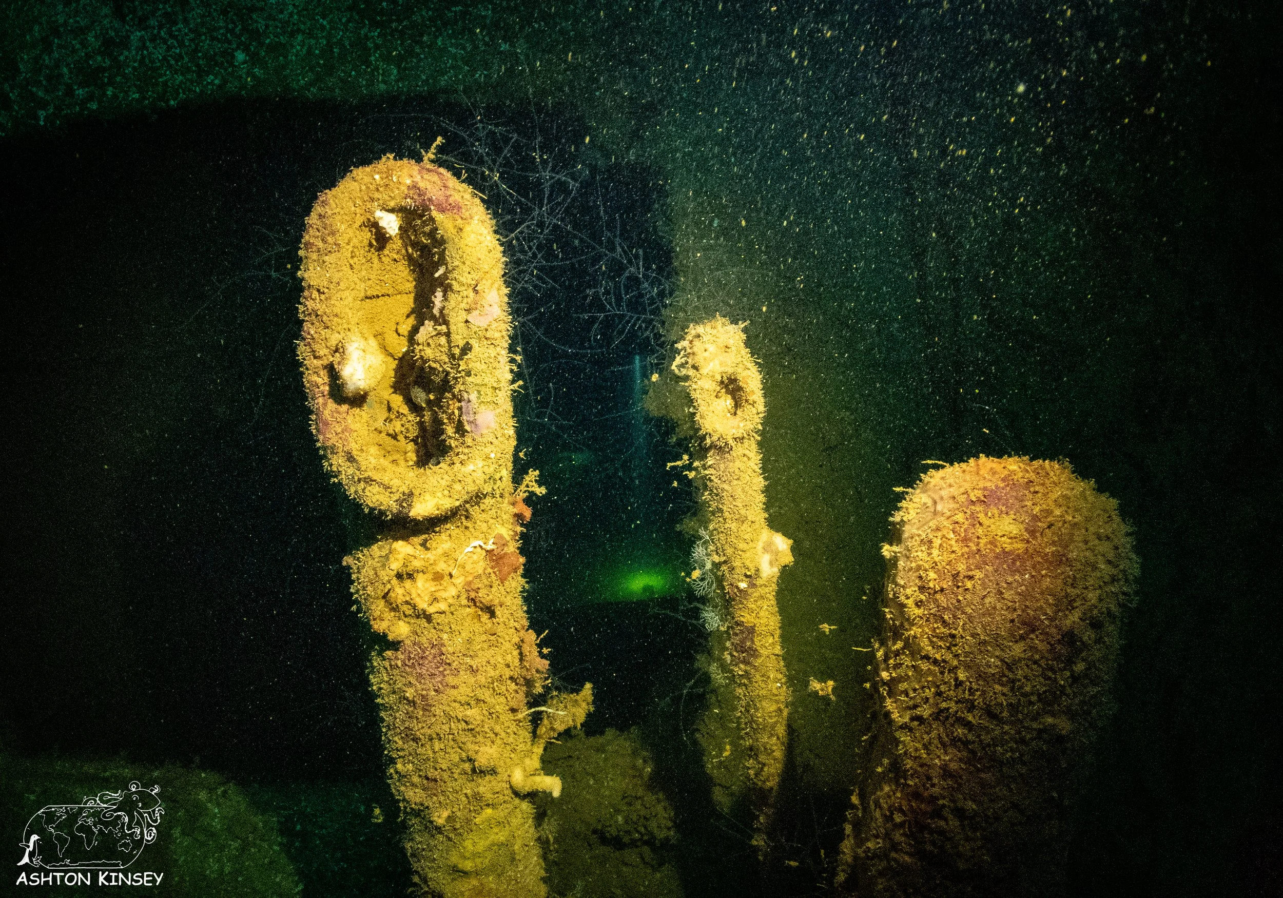 Heian Maru-26.jpg