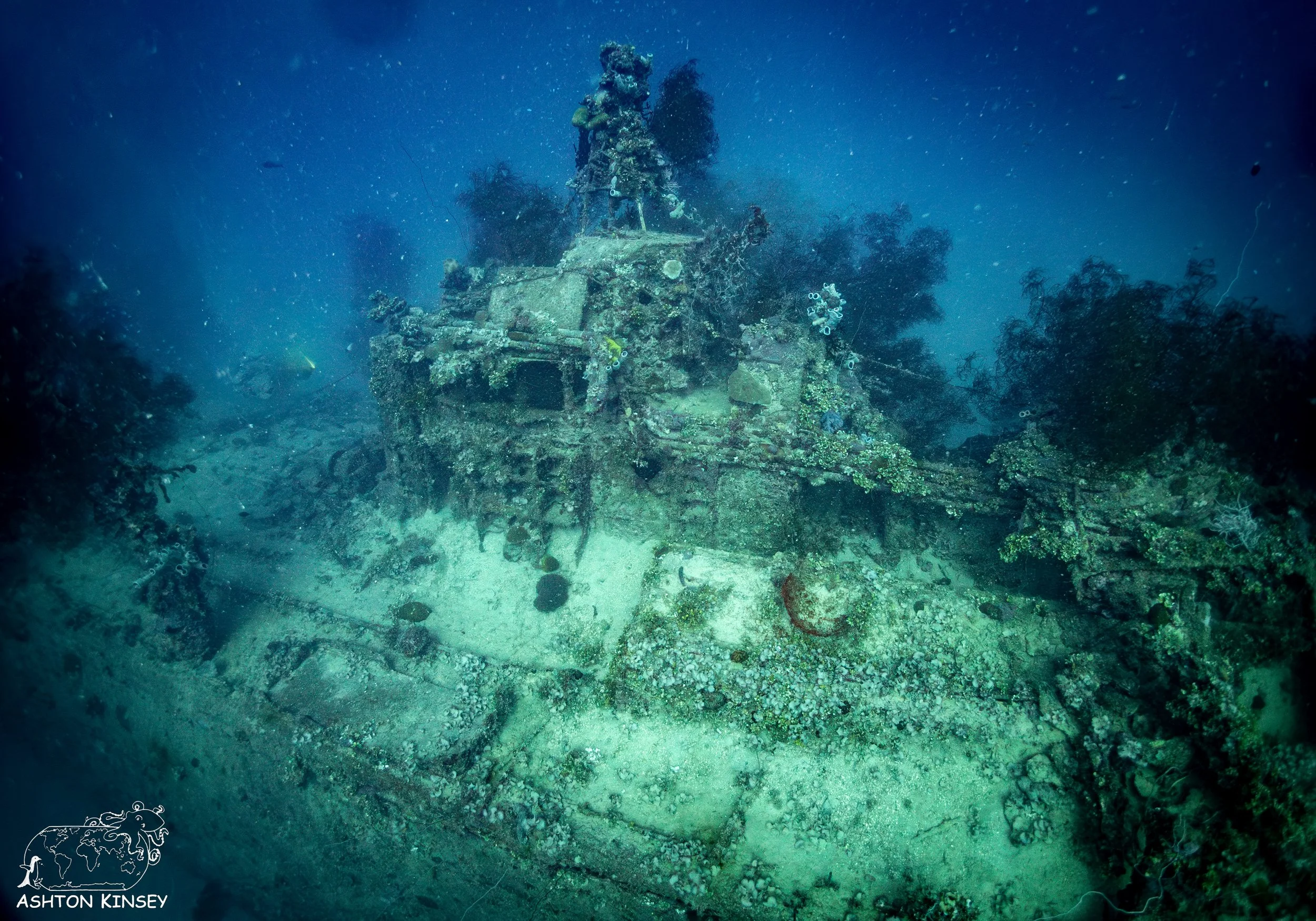 IJN Fumizuki-12.jpg