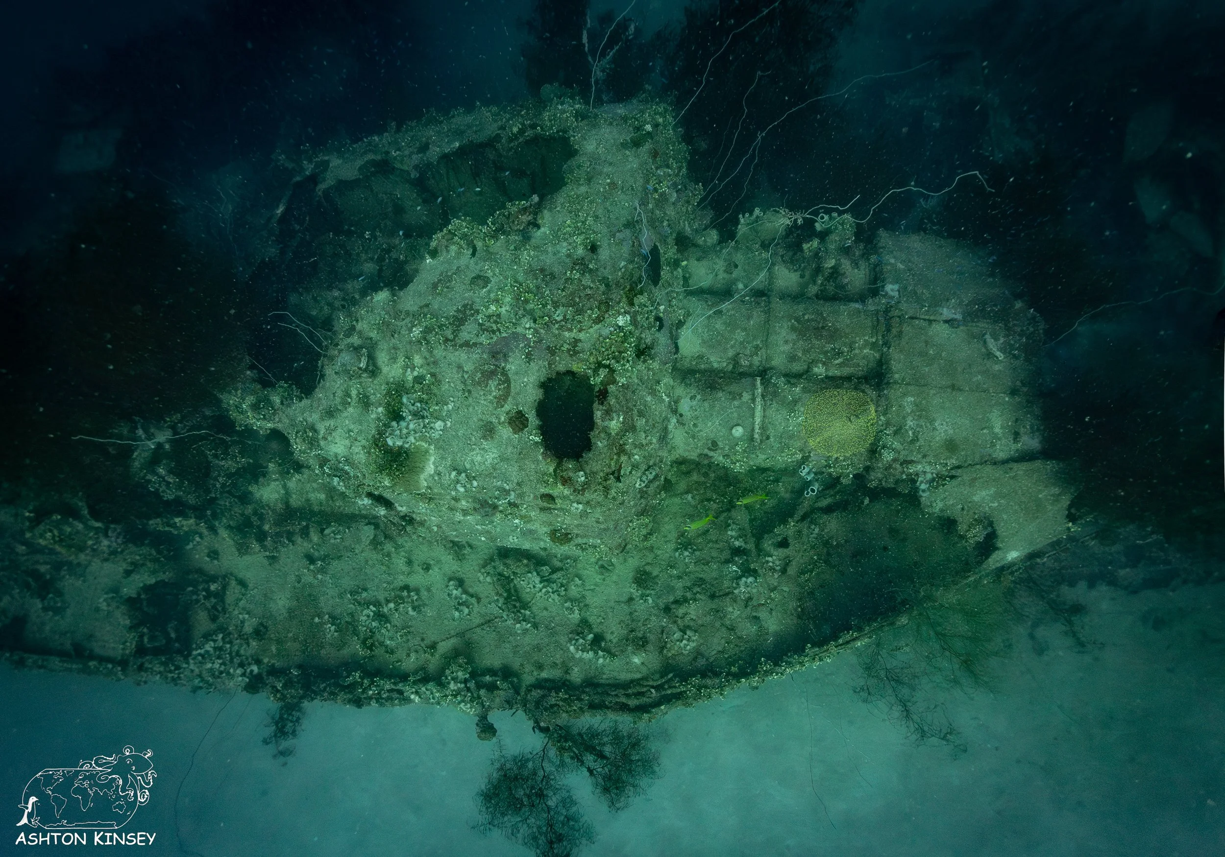 IJN Fumizuki-24.jpg