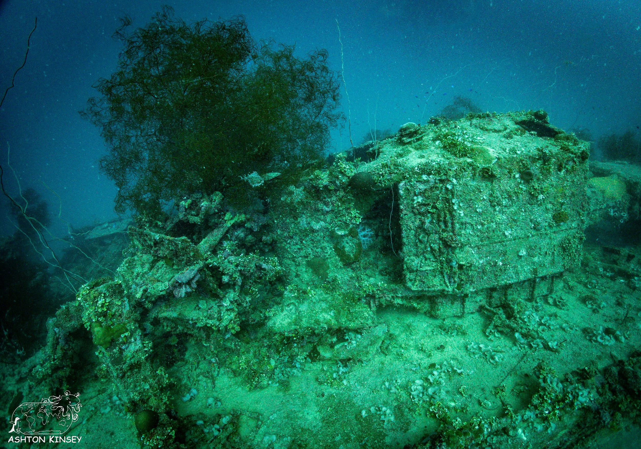IJN Fumizuki-23.jpg
