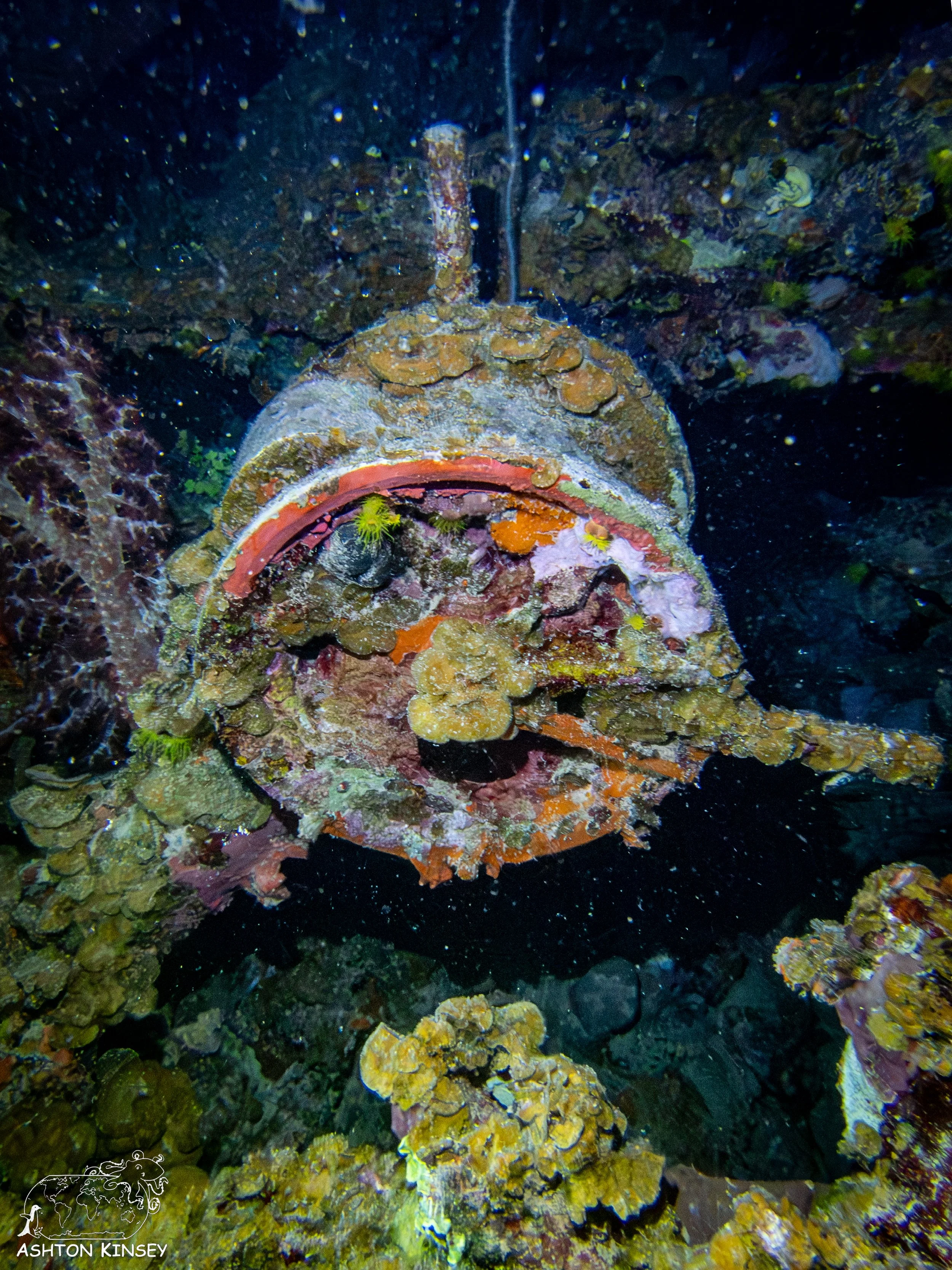 Shinkoko Maru-42.jpg