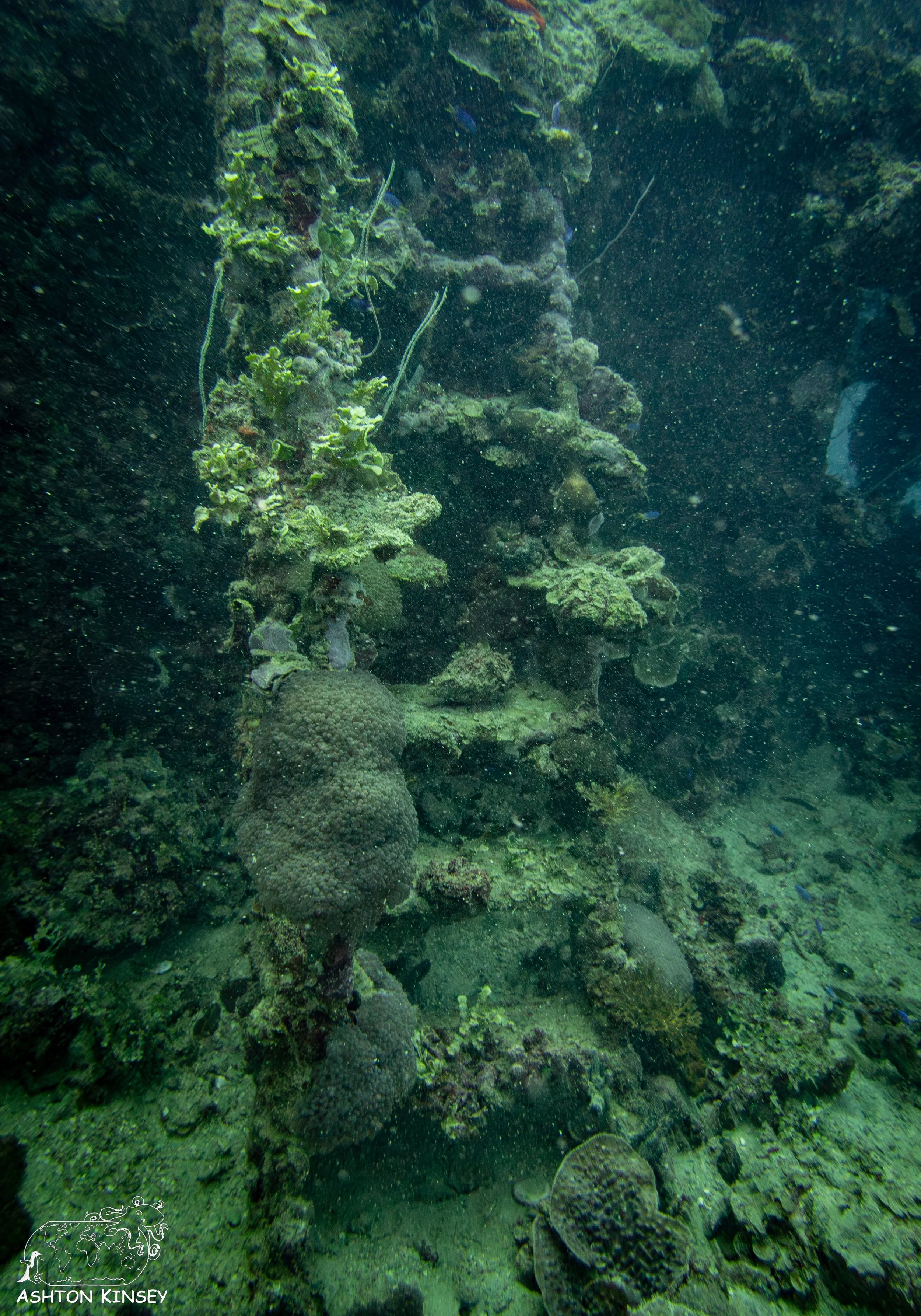 Shinkoko Maru-1.jpg