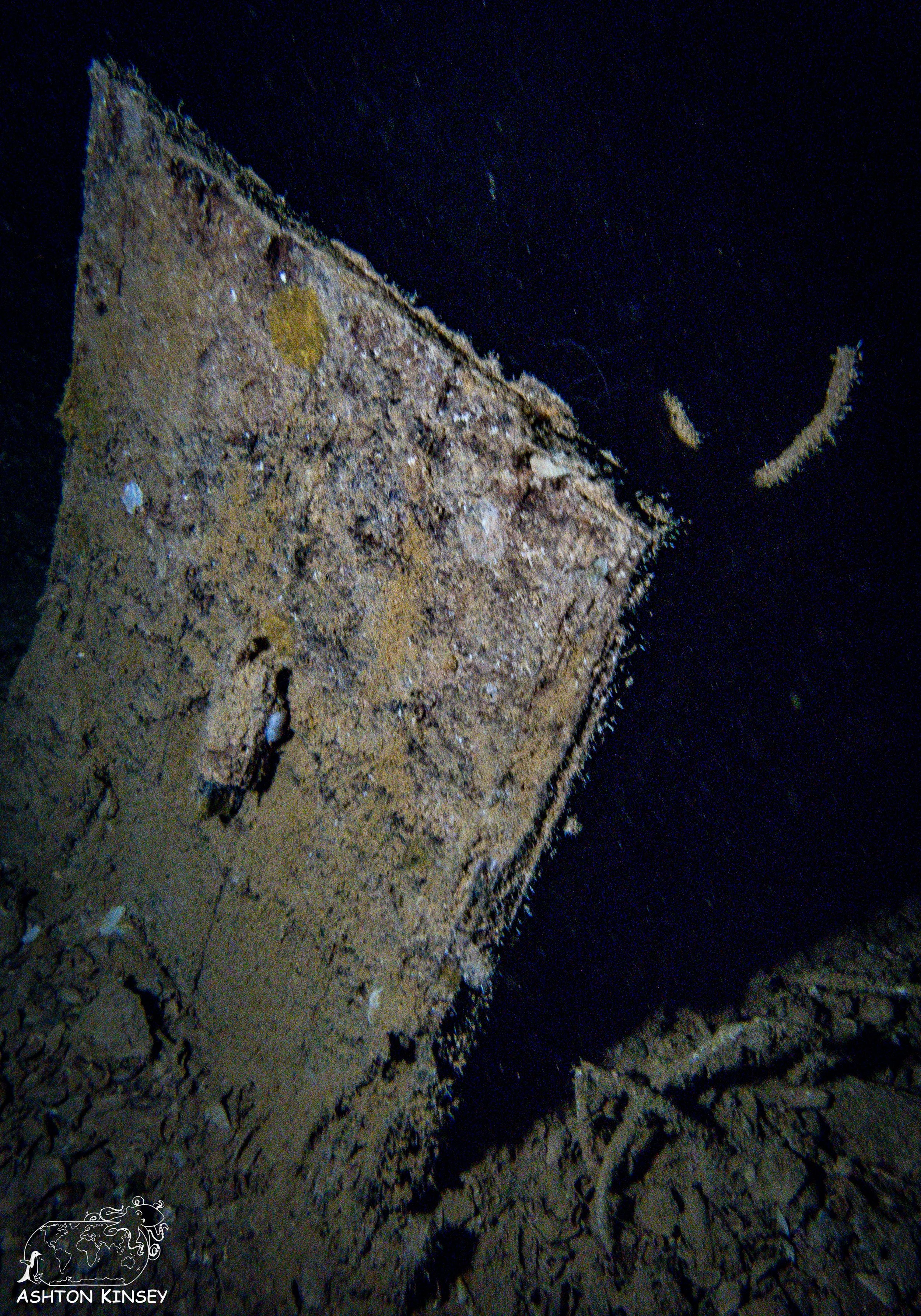 Shinkoko Maru-2.jpg