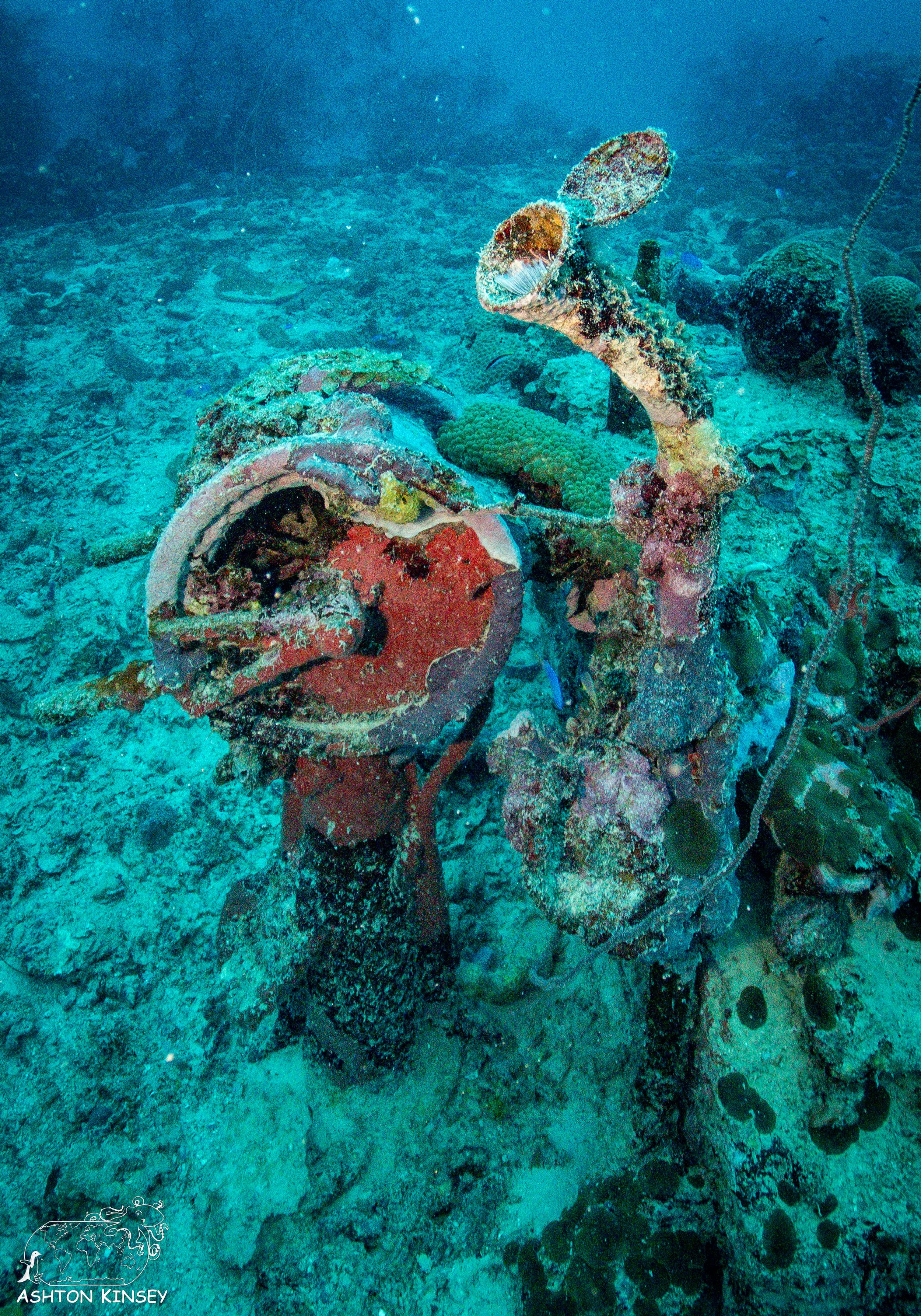 Shinkoko Maru-8.jpg