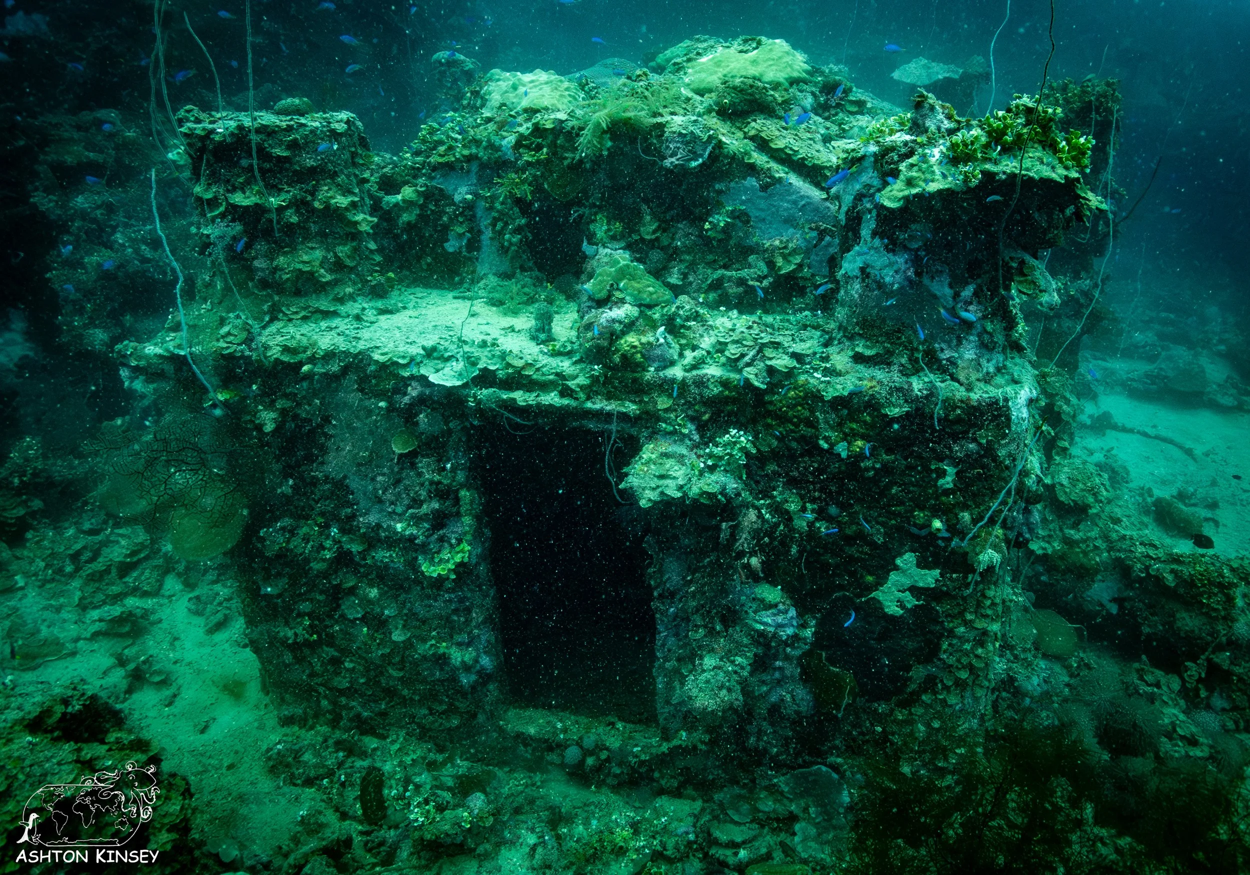 Shinkoko Maru-10.jpg
