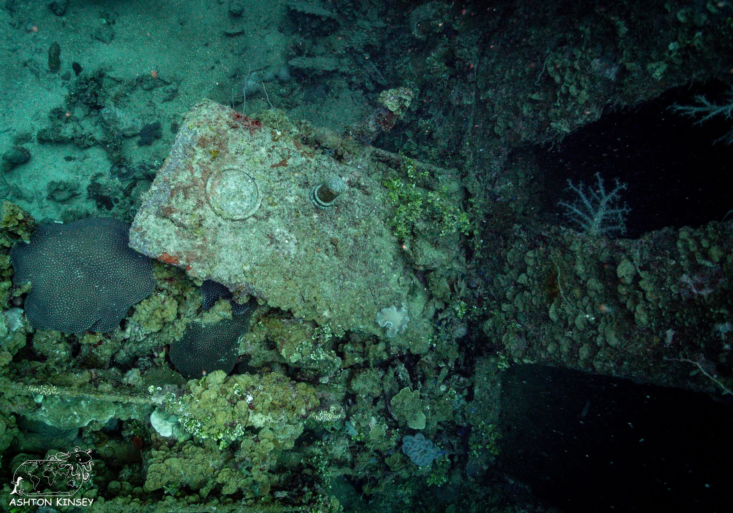 Shinkoko Maru-13.jpg