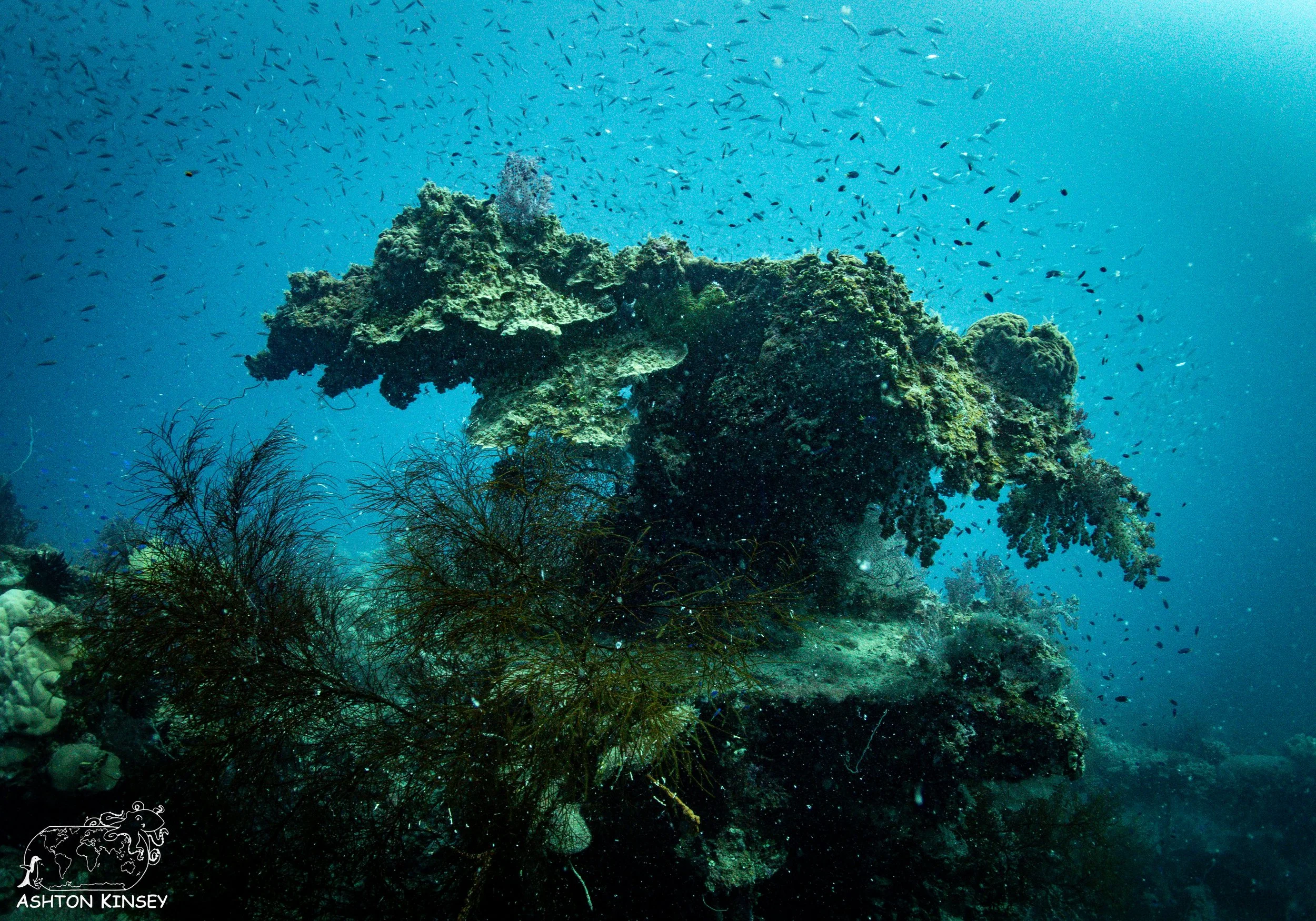 Shinkoko Maru-16.jpg