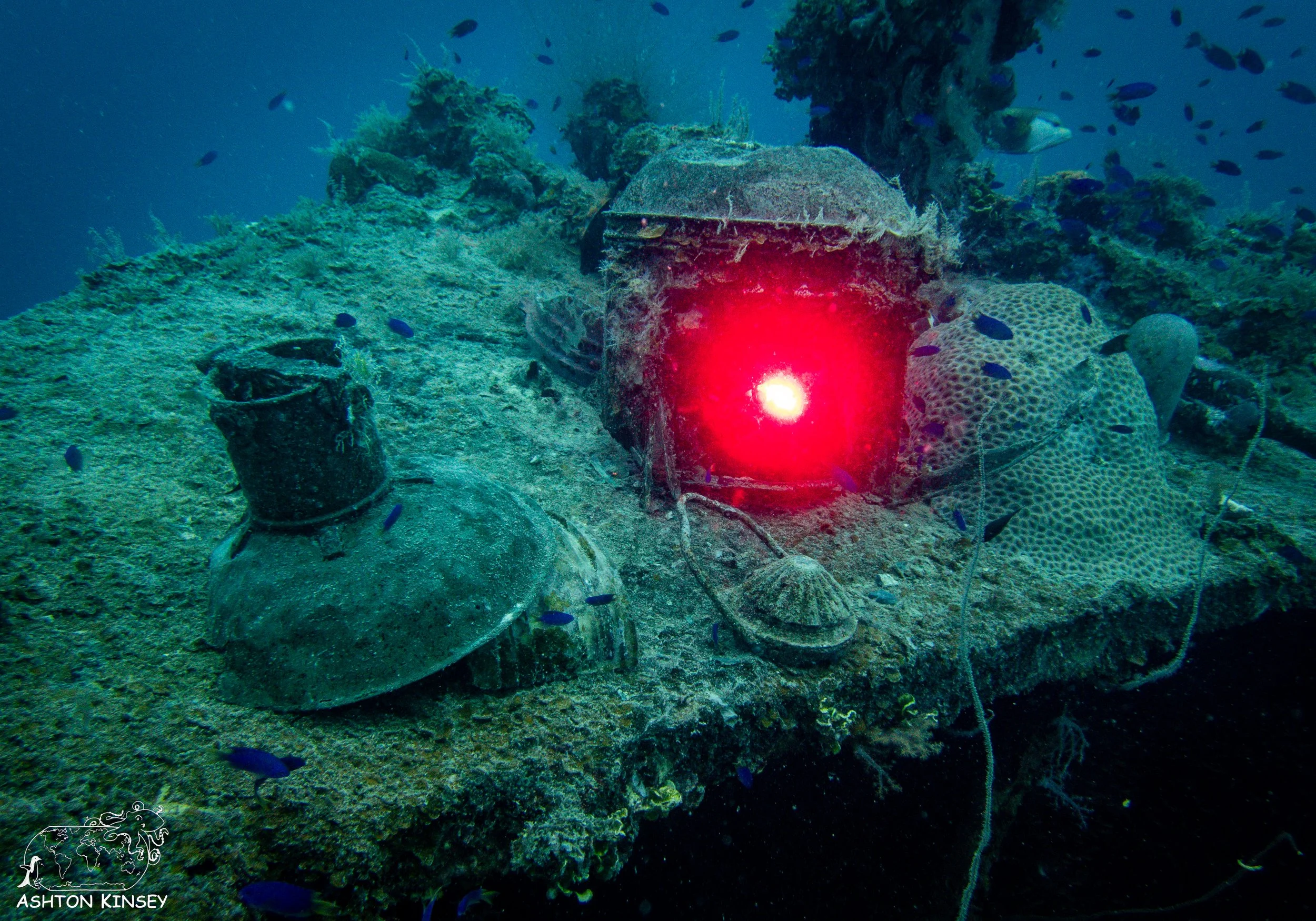 Shinkoko Maru-18.jpg