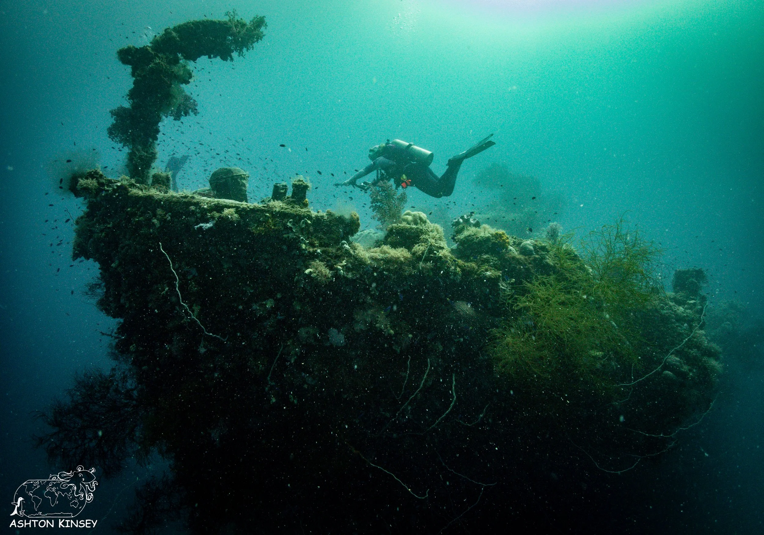 Shinkoko Maru-19.jpg