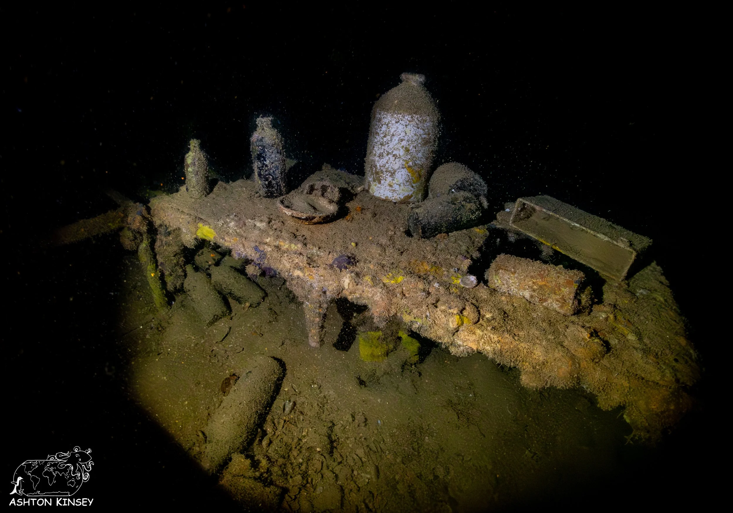 Shinkoko Maru-22.jpg