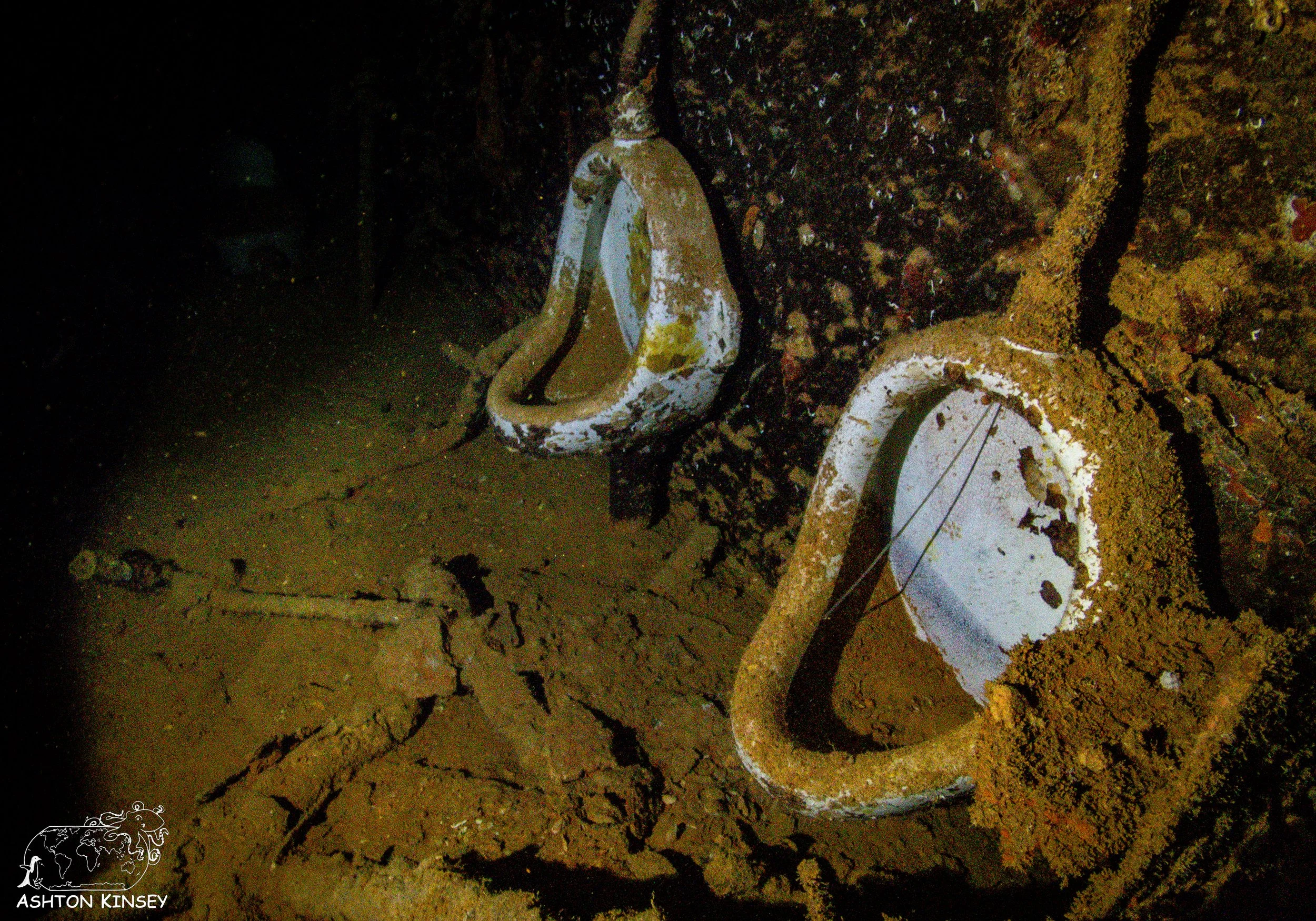 Shinkoko Maru-23.jpg