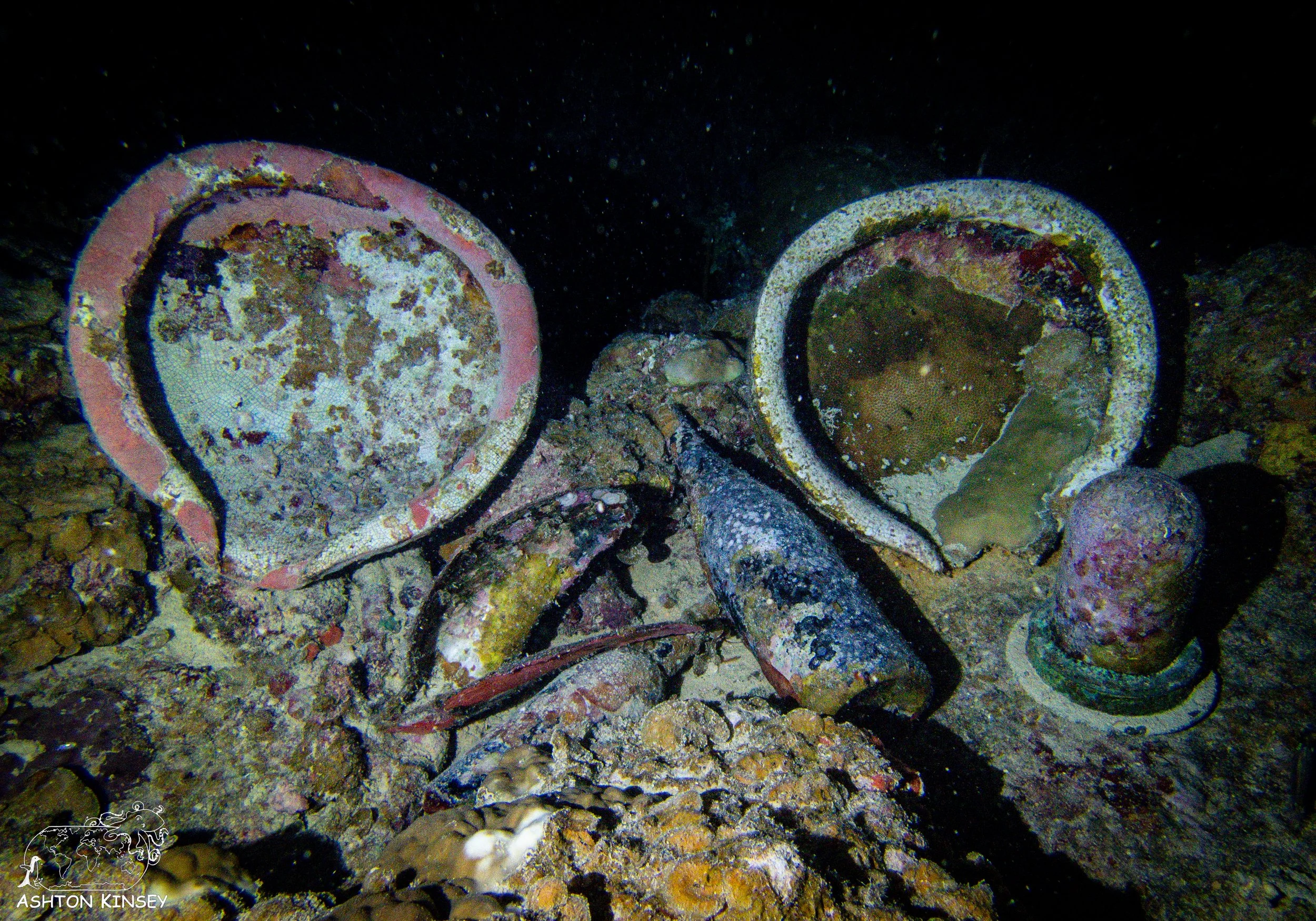 Shinkoko Maru-29.jpg