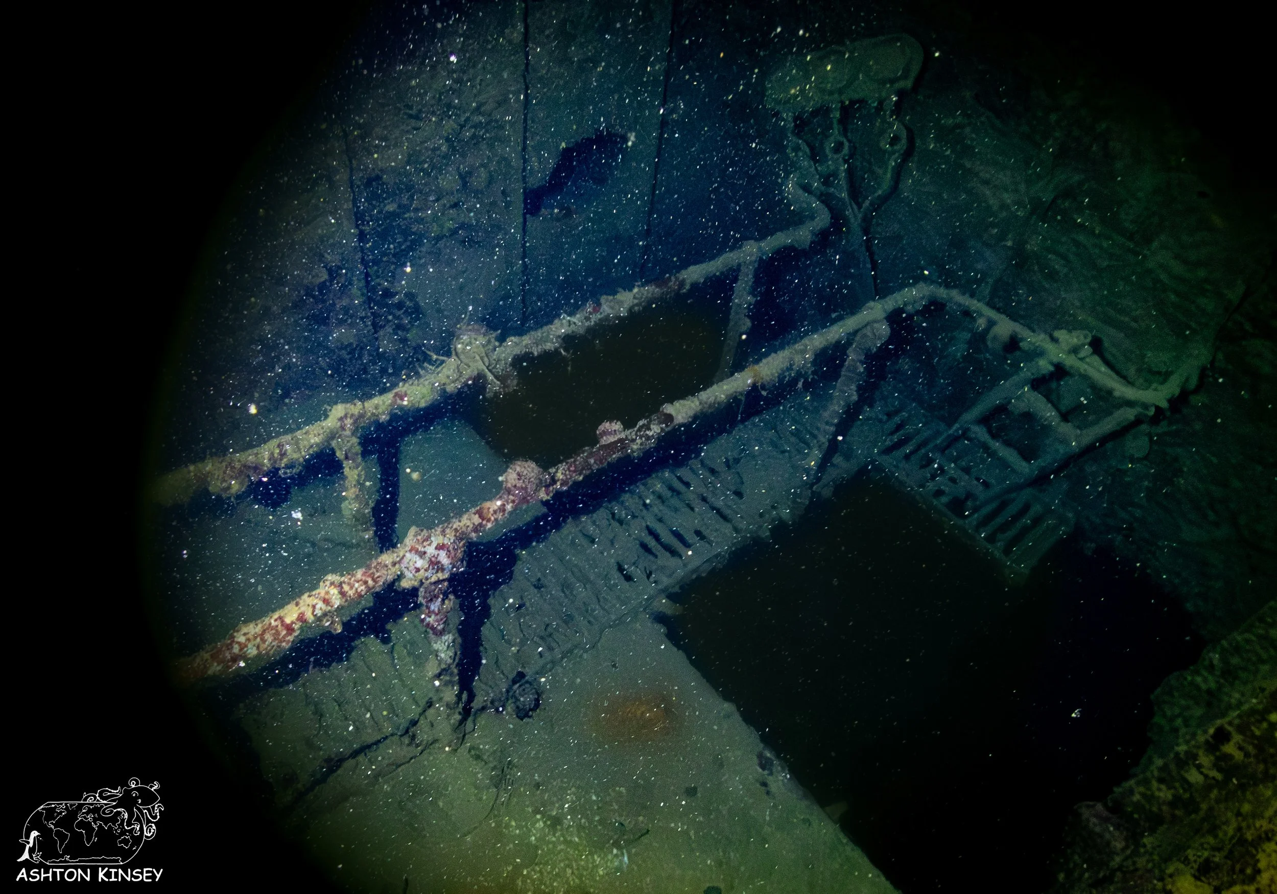 Shinkoko Maru-31.jpg