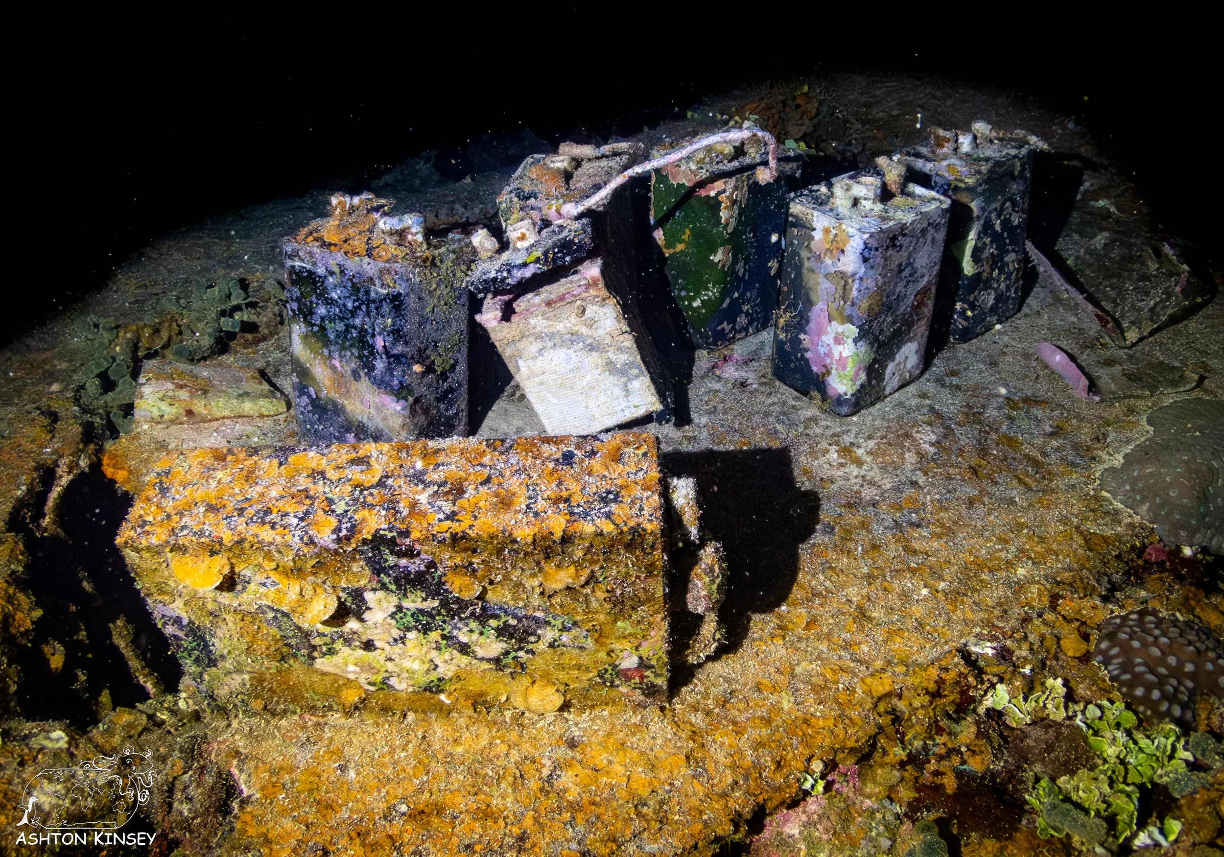 Shinkoko Maru-32.jpg