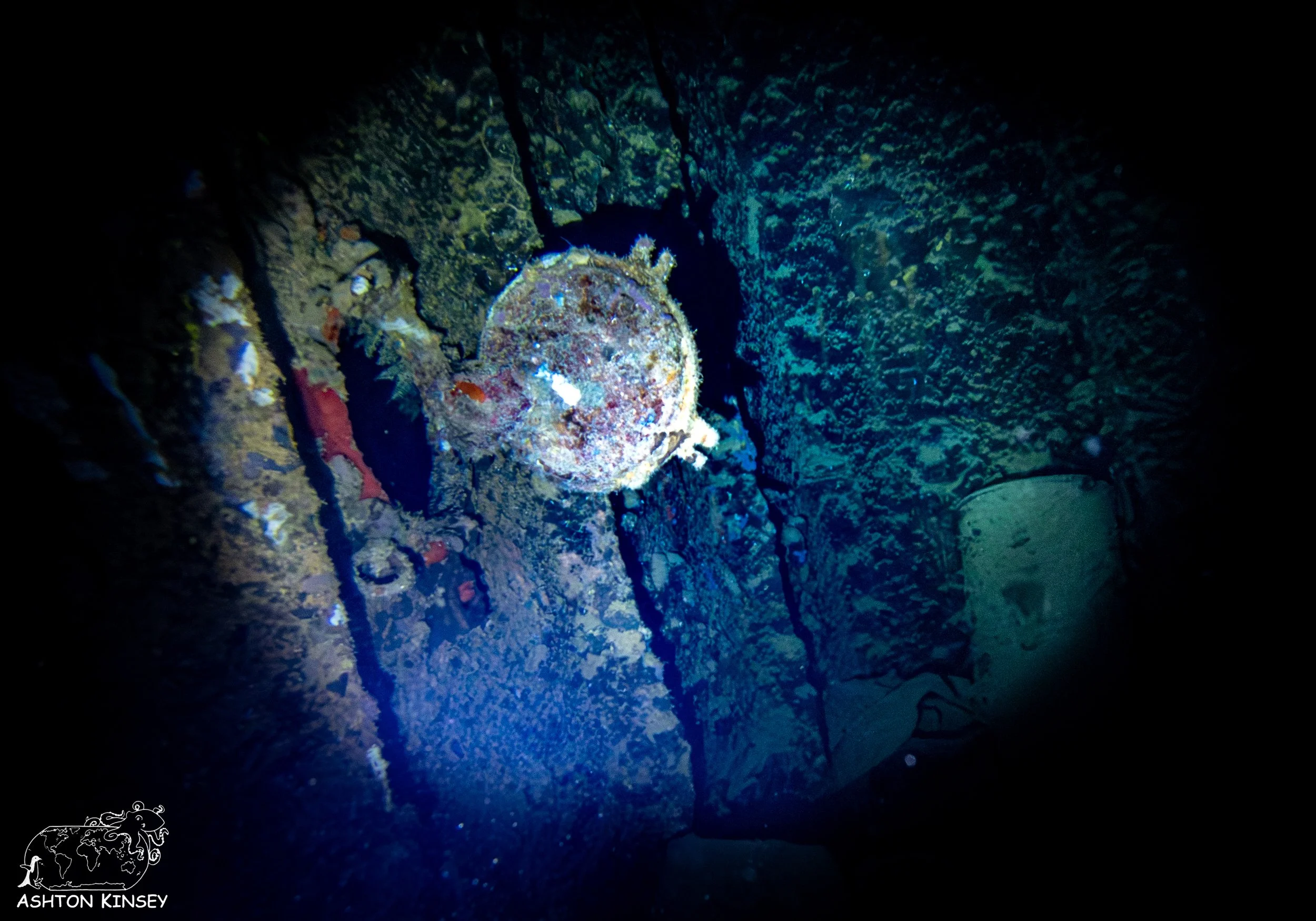 Shinkoko Maru-38.jpg