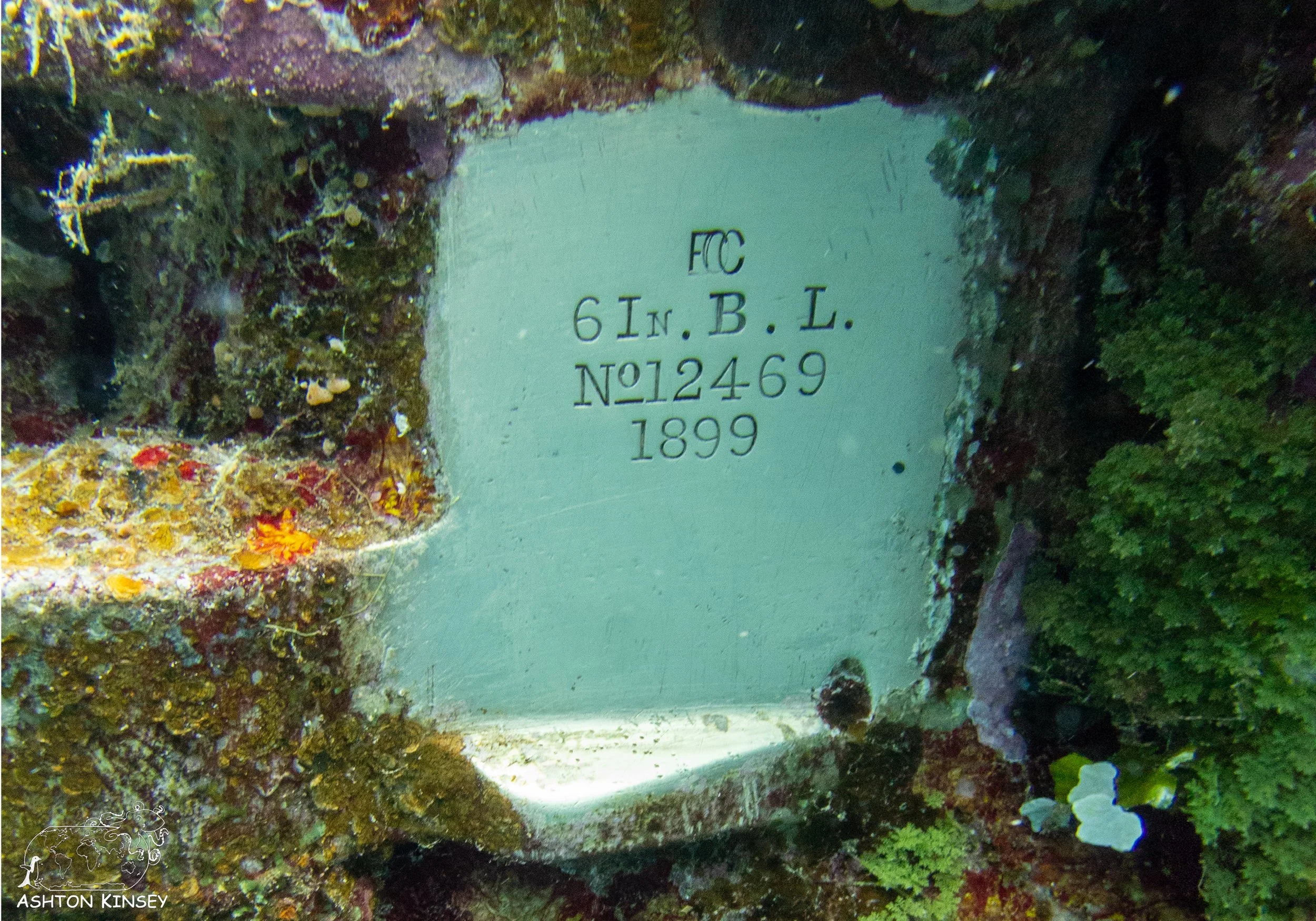 Fujikawa Maru-95.jpg