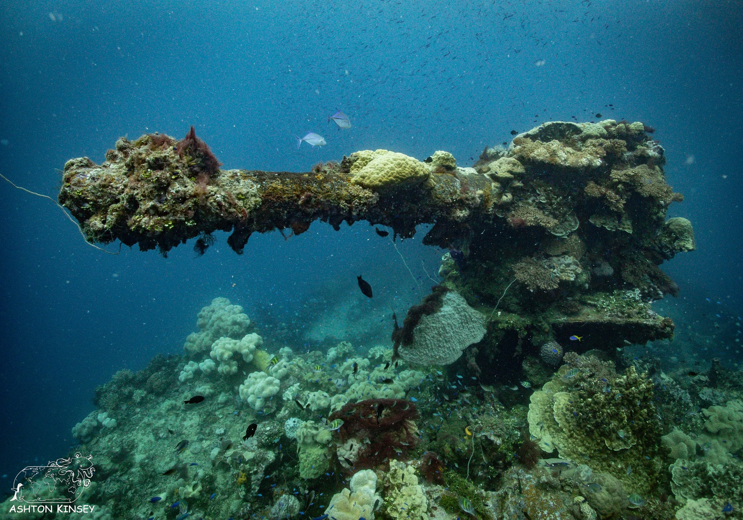 Fujikawa Maru-93.jpg