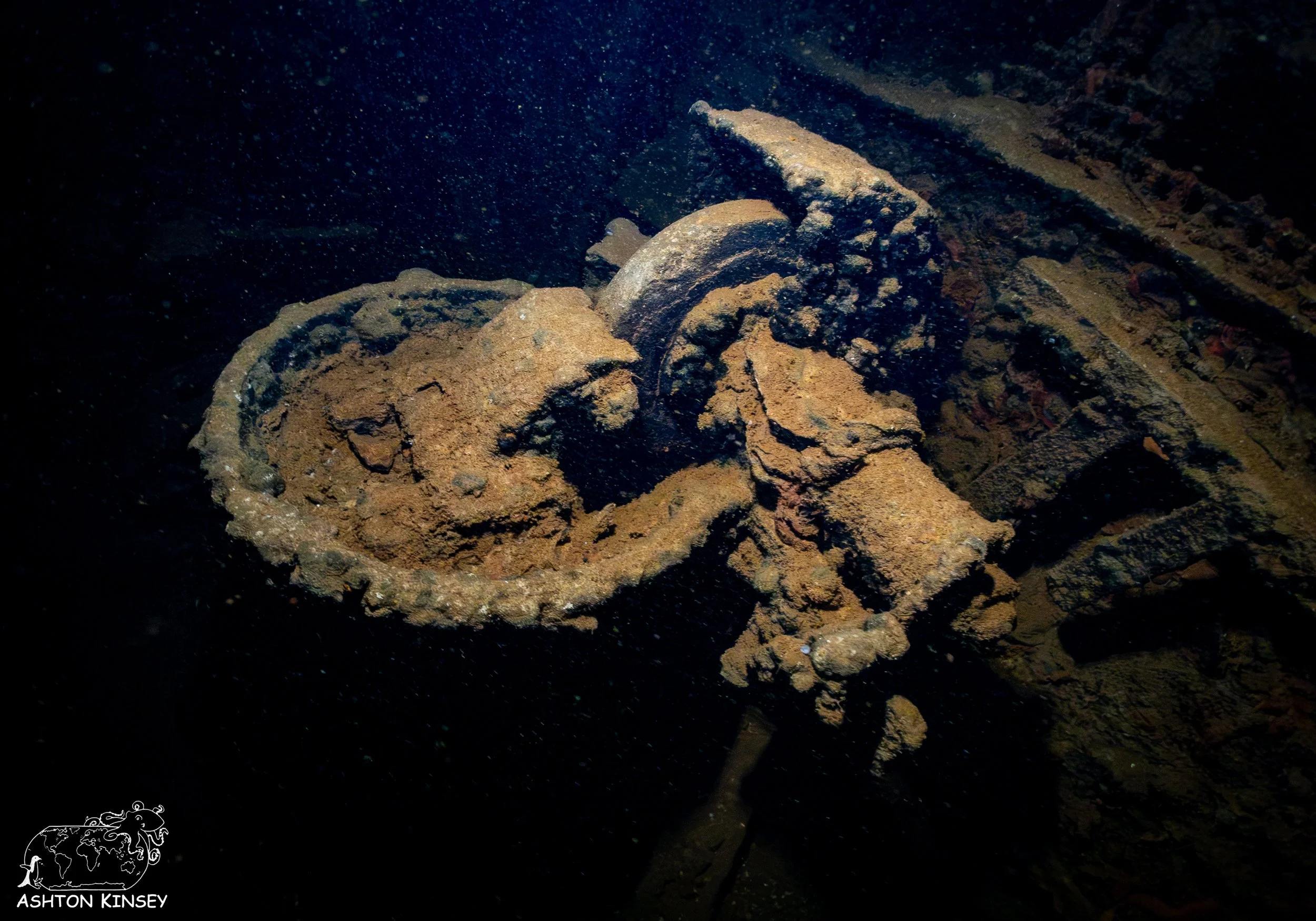 Fujikawa Maru-2.jpg