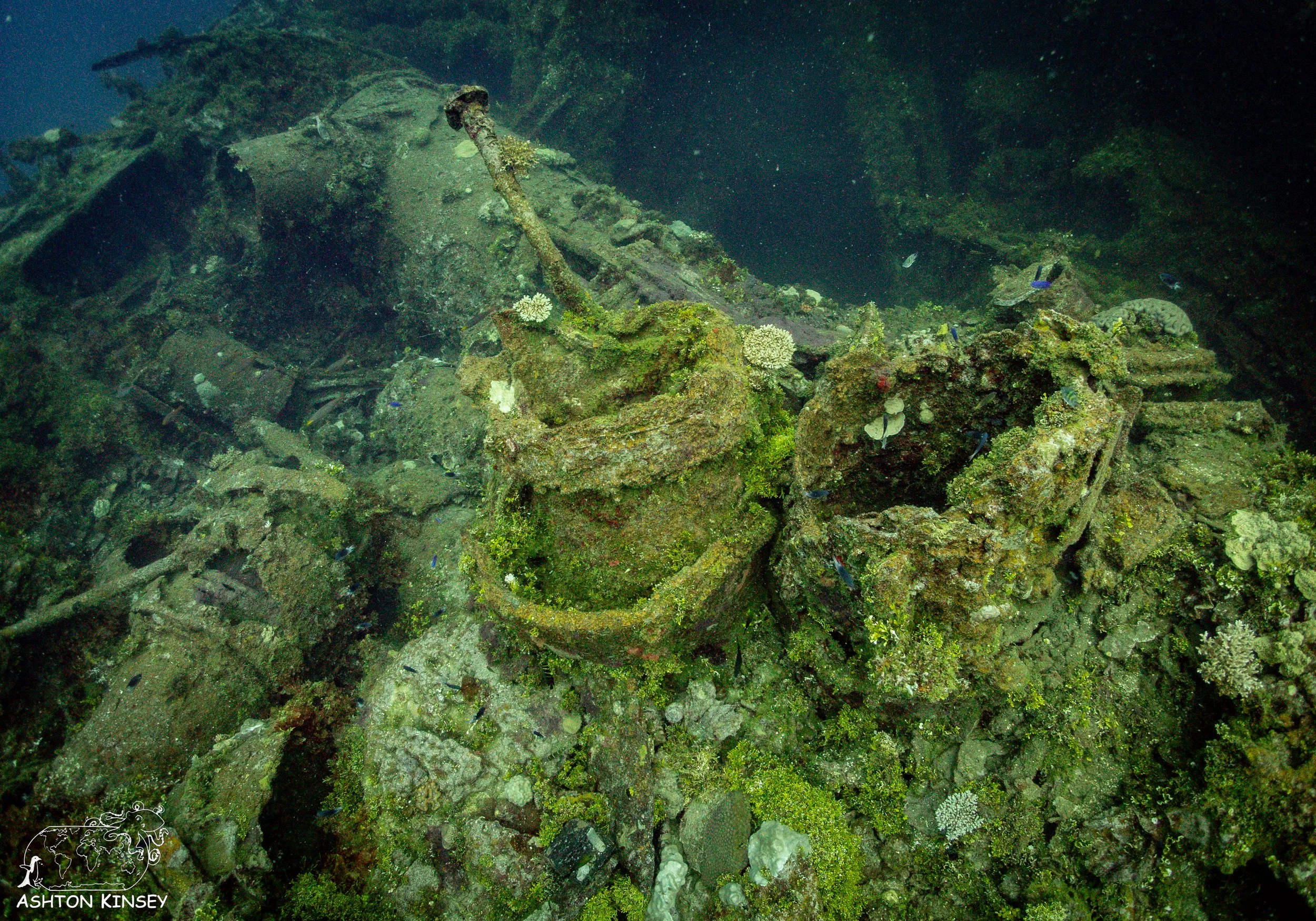 Fujikawa Maru-1.jpg