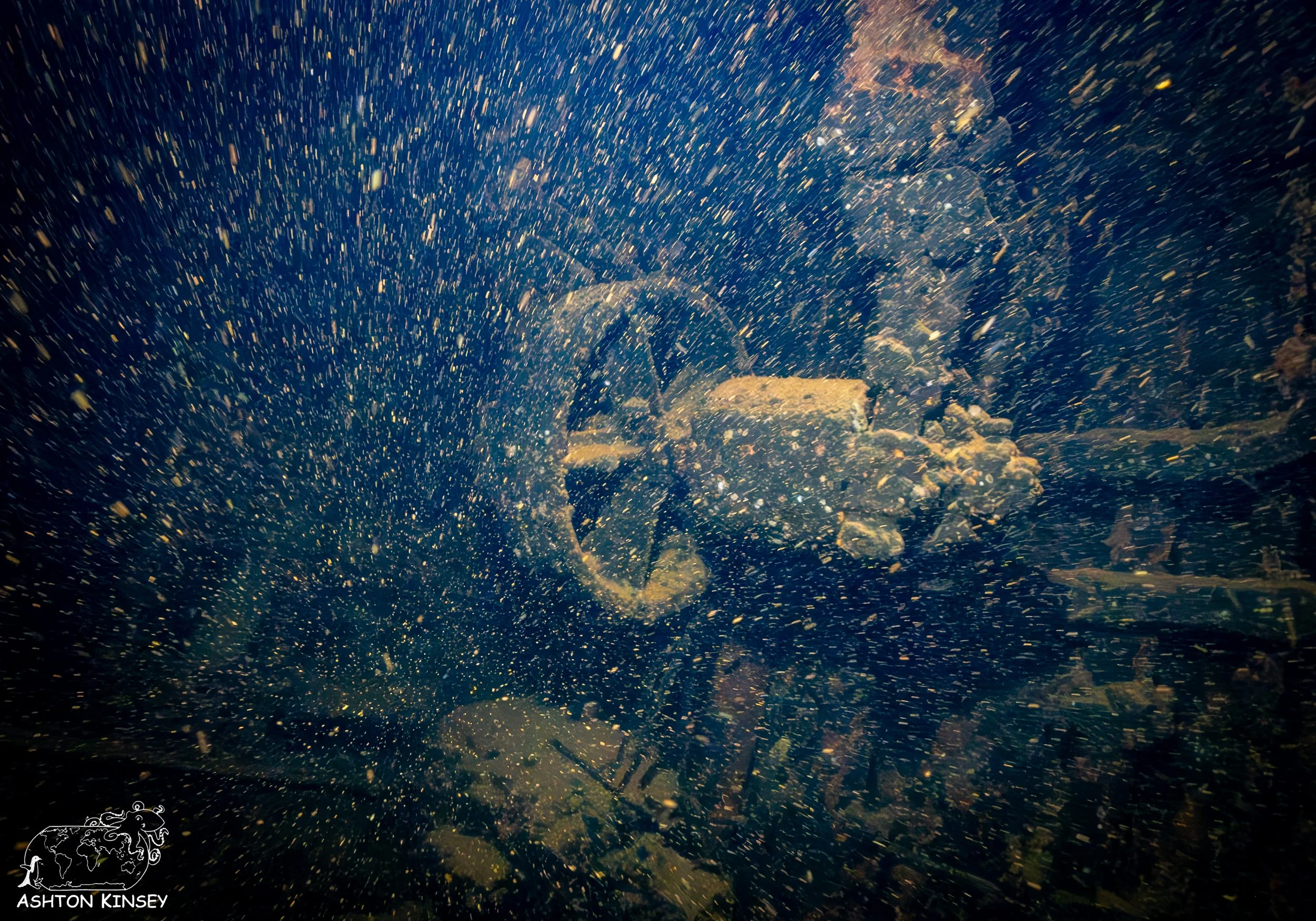 Fujikawa Maru-10.jpg
