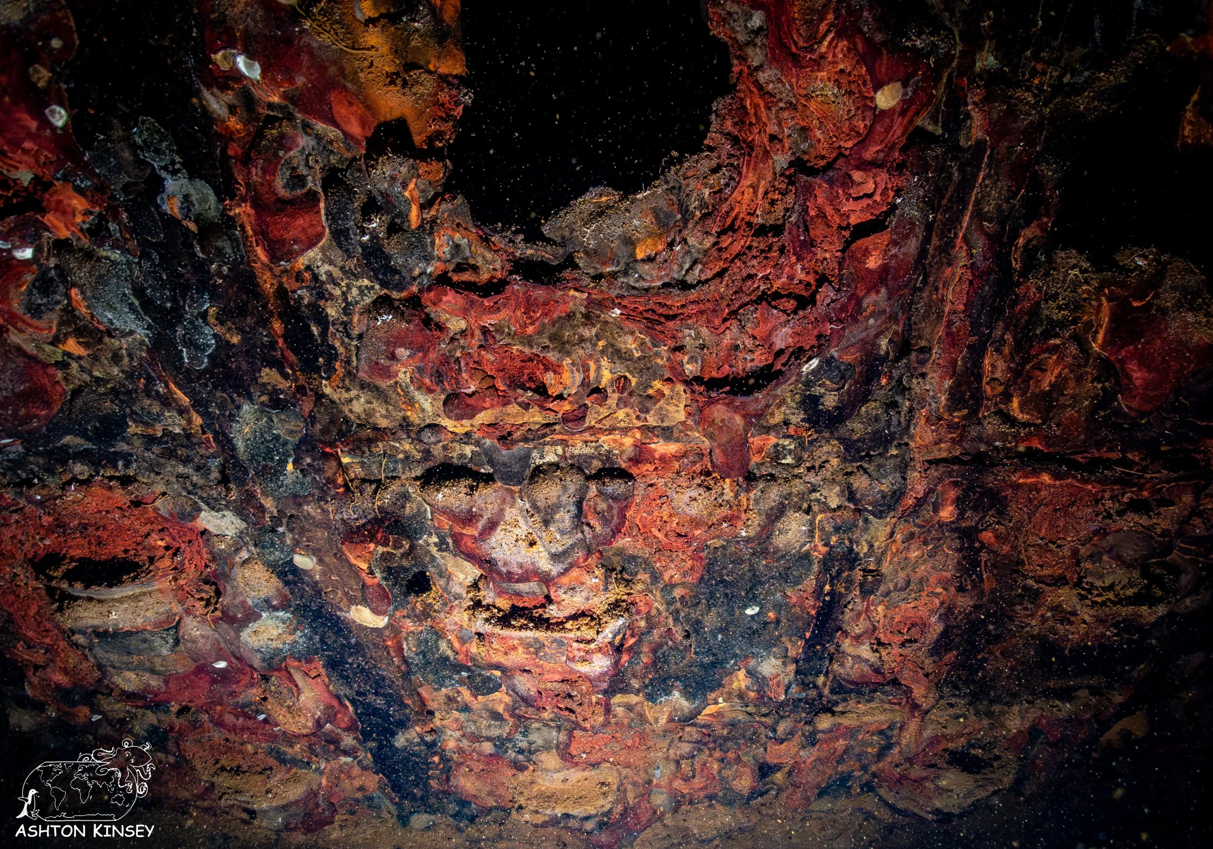 Fujikawa Maru-11.jpg