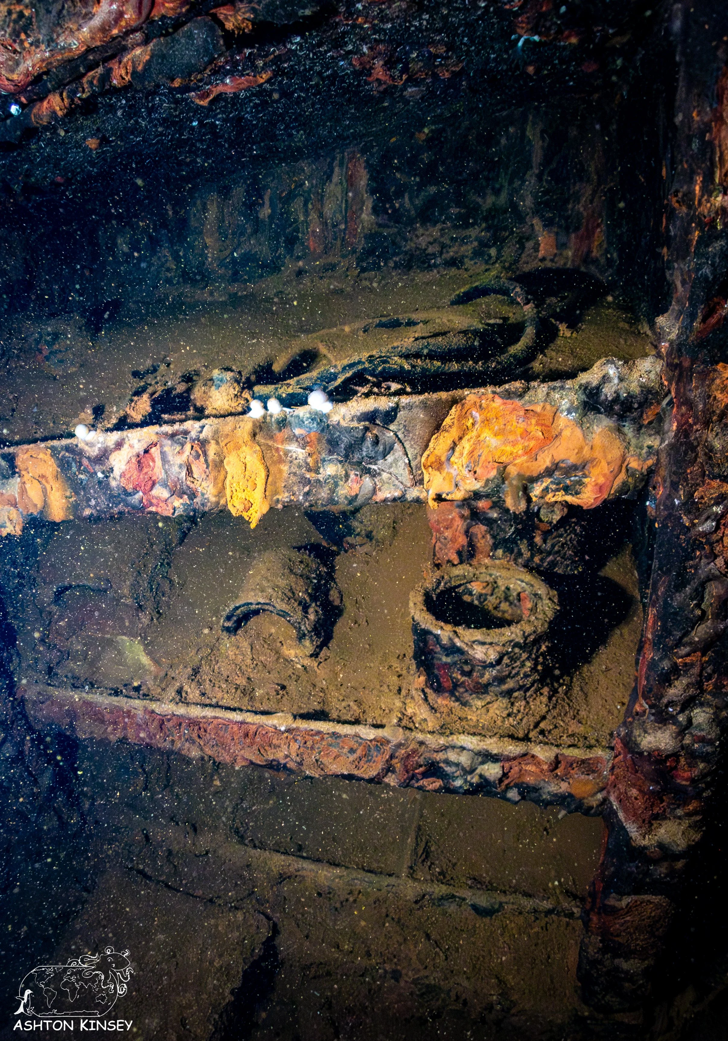 Fujikawa Maru-12.jpg