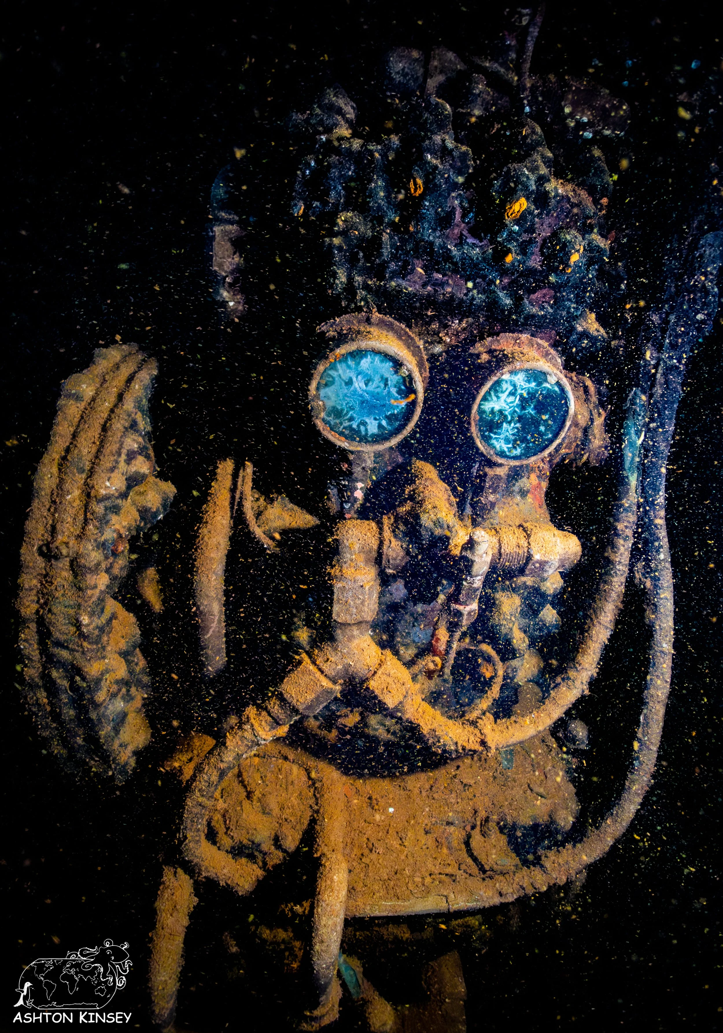 Fujikawa Maru-17.jpg
