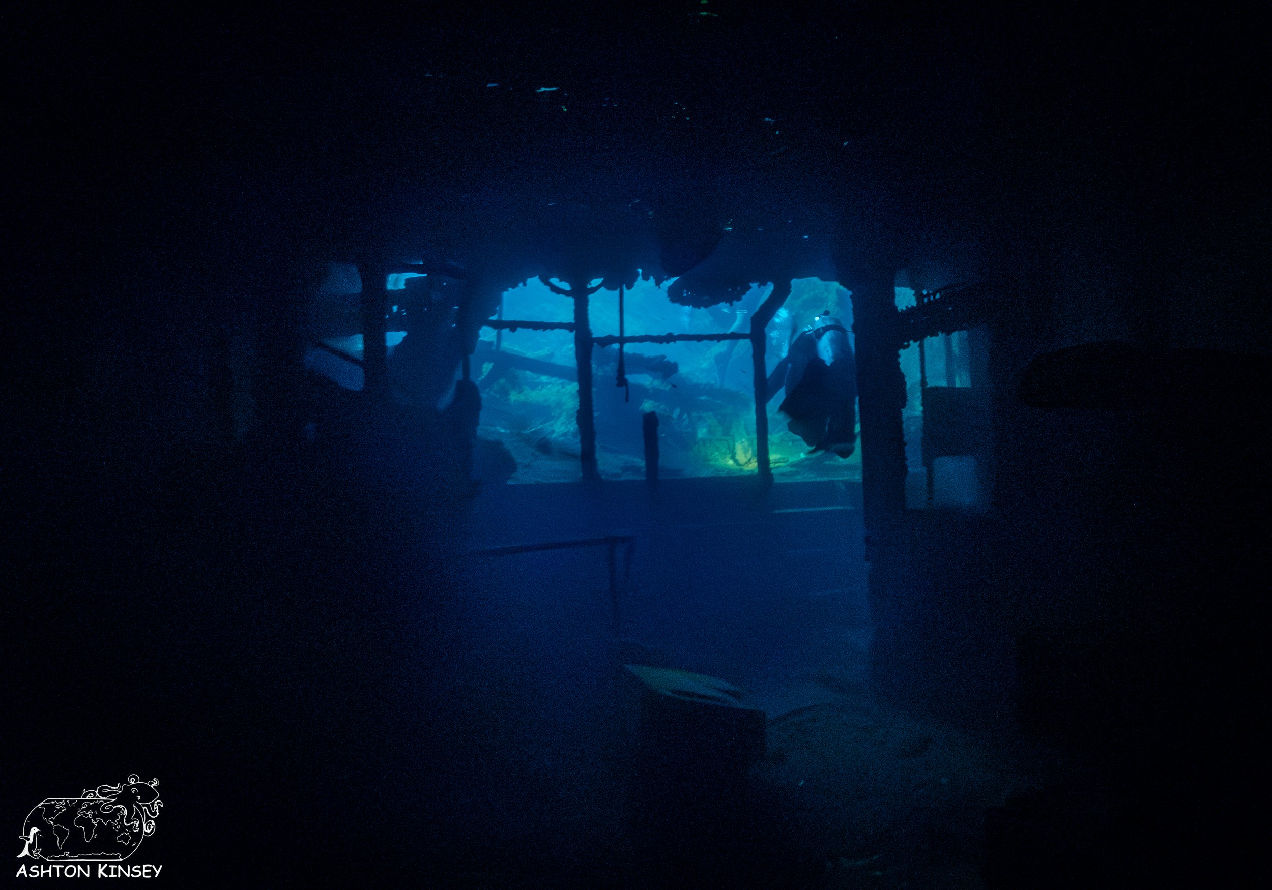 Fujikawa Maru-18.jpg