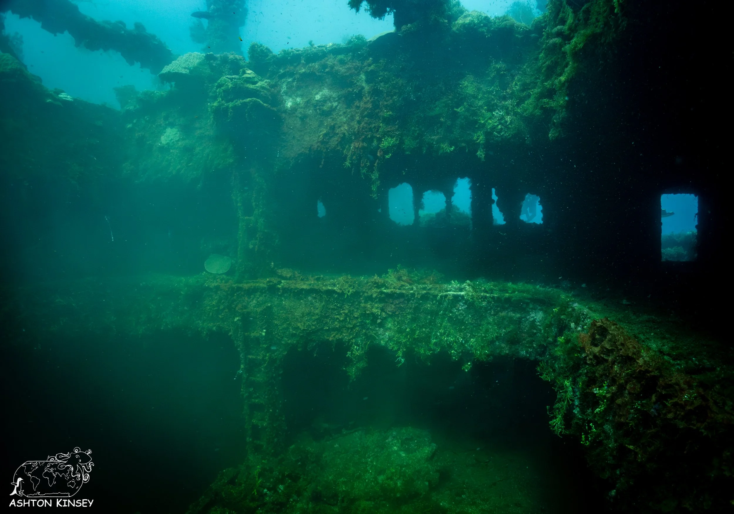 Fujikawa Maru-20.jpg