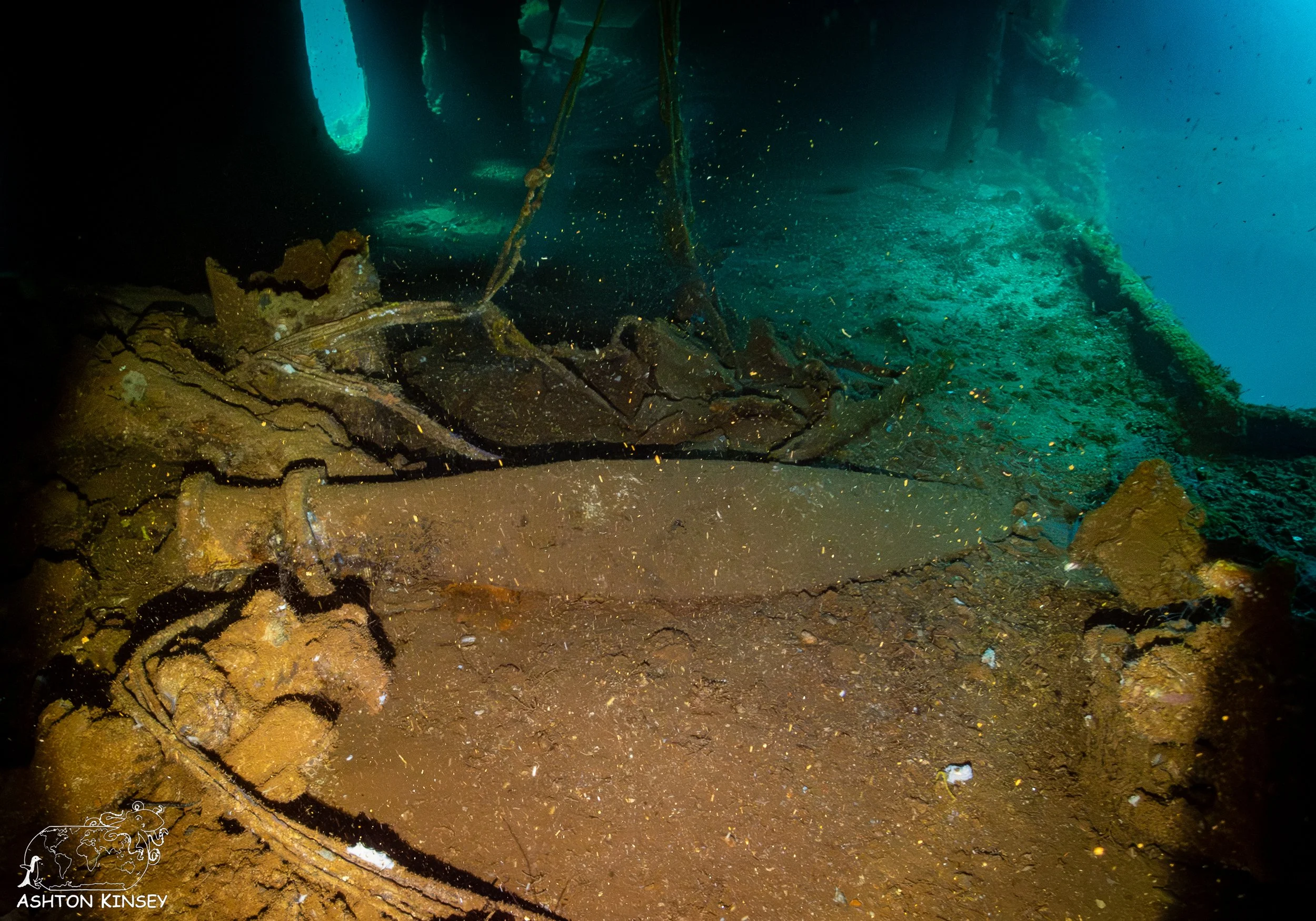 Fujikawa Maru-21.jpg