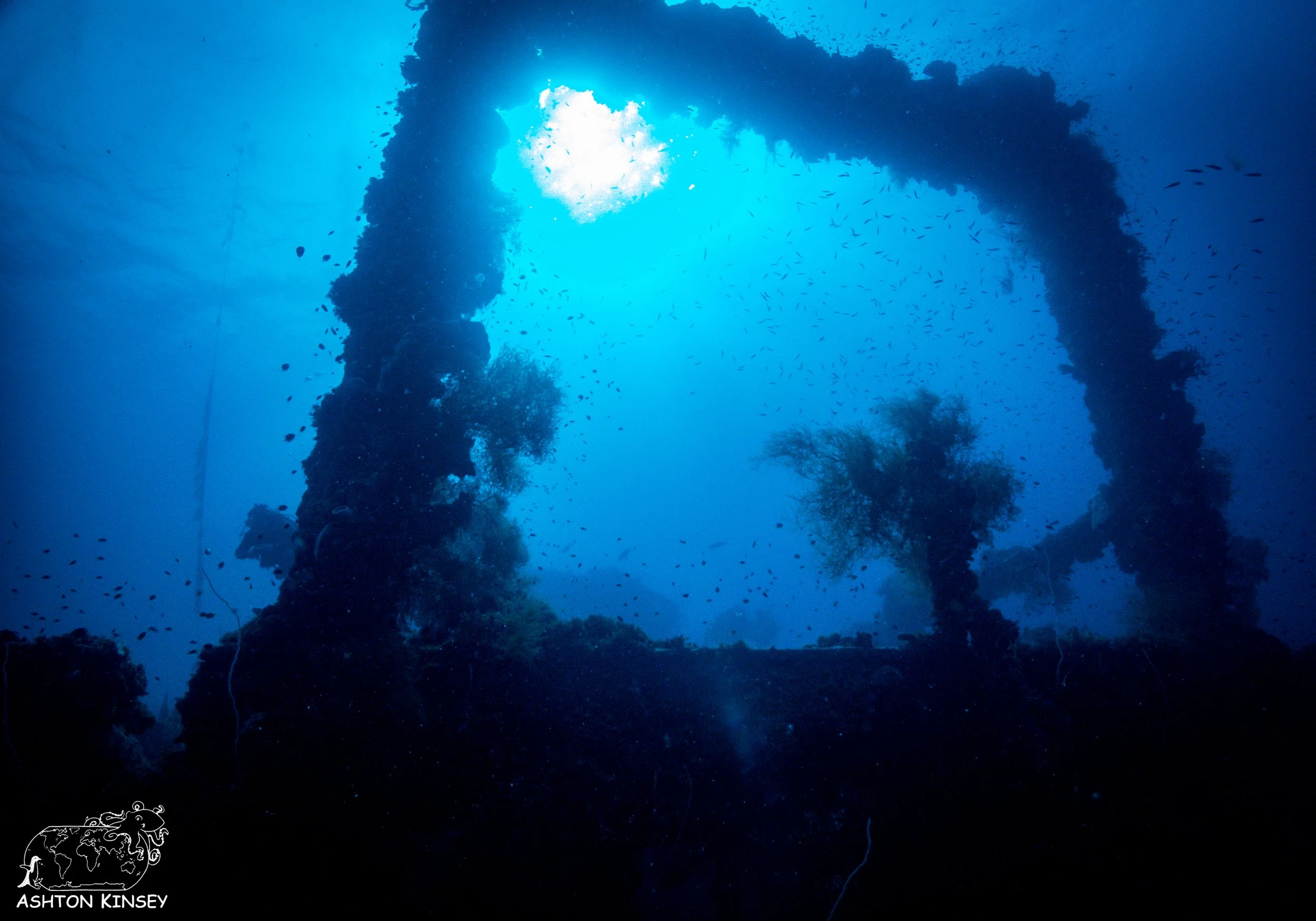 Fujikawa Maru-24.jpg